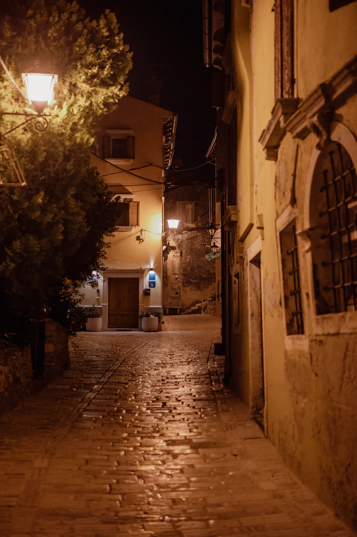 A cobblestone street at night with a light on