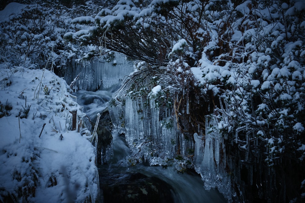 a frozen waterfall surrounded by snow covered trees