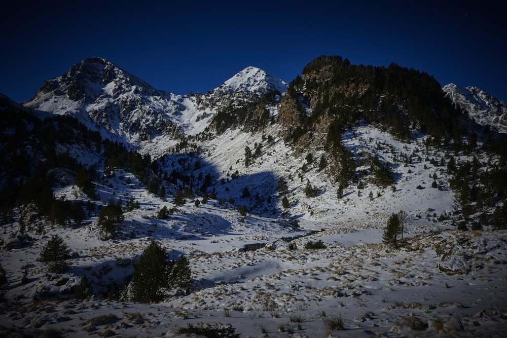 a snow covered mountain range with trees in the foreground