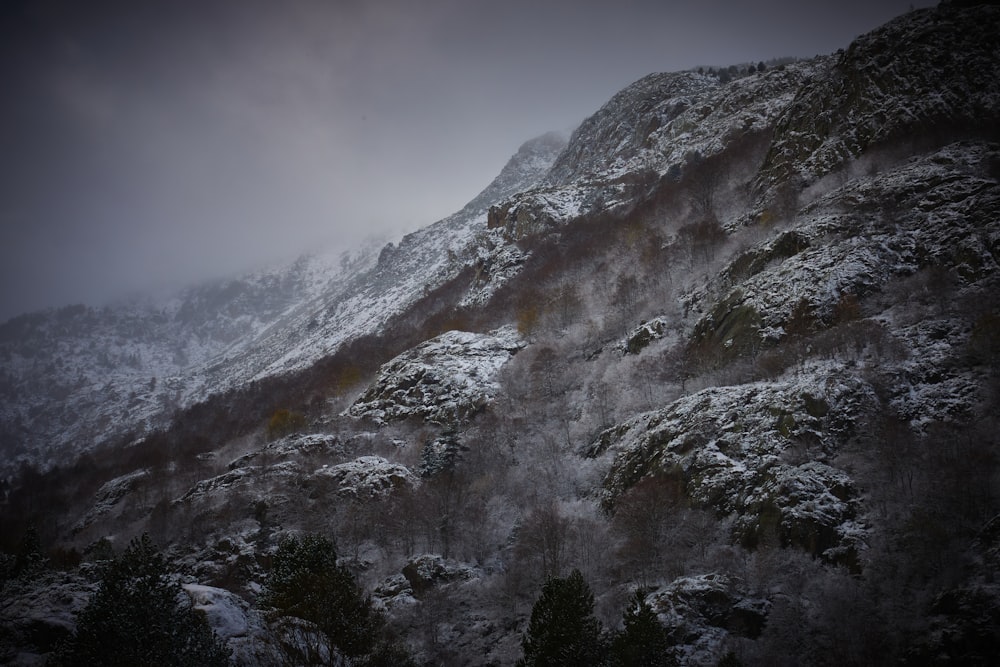 una montagna coperta di neve con alberi sul fianco