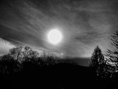 Black and white photograph of a serene landscape with soft light and shadows.