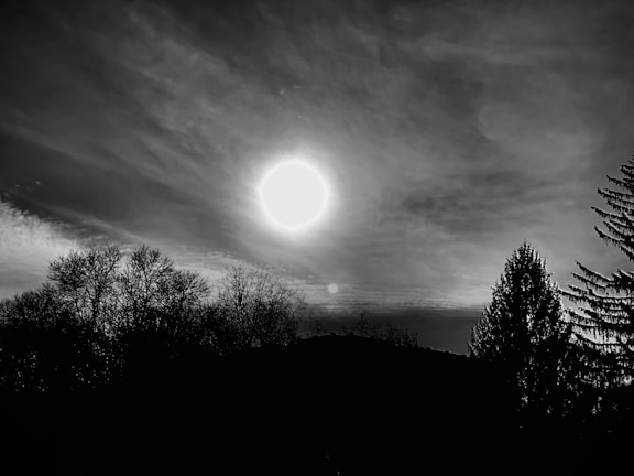 An elegant photograph showcasing a serene landscape.