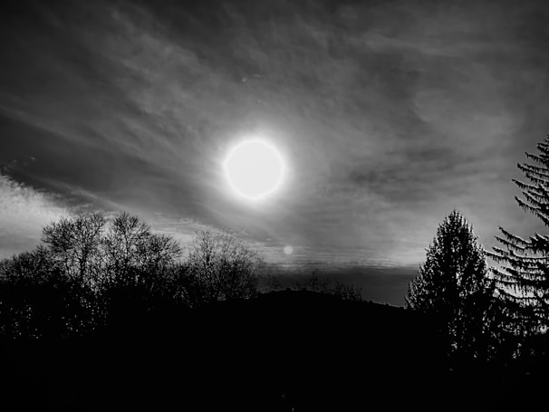 A serene black and white landscape photo with balanced light and shadow.