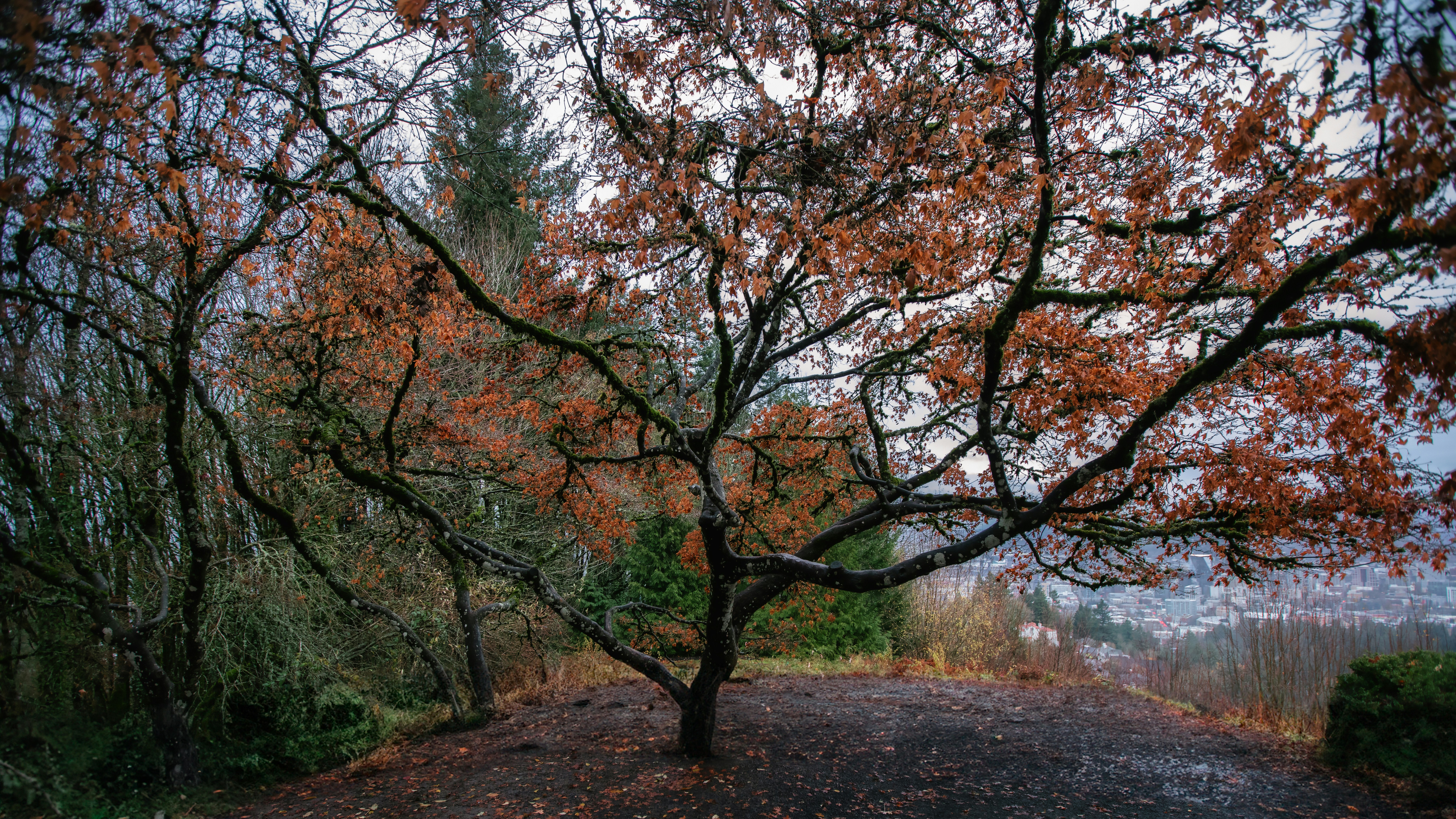 Photo by switchinglanes