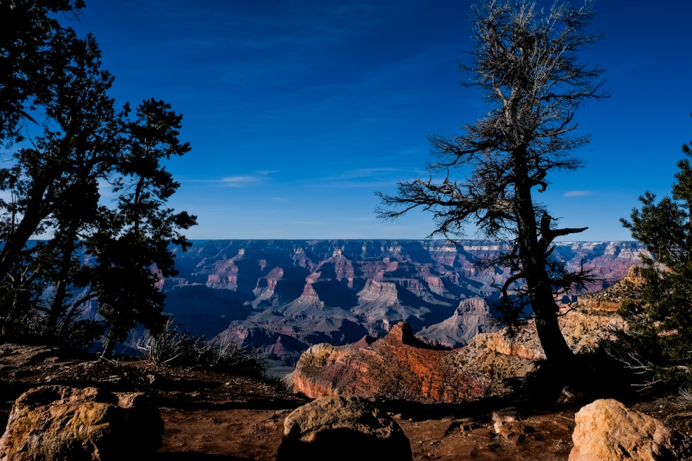 a view of the grand canyon from the rim of a cliff