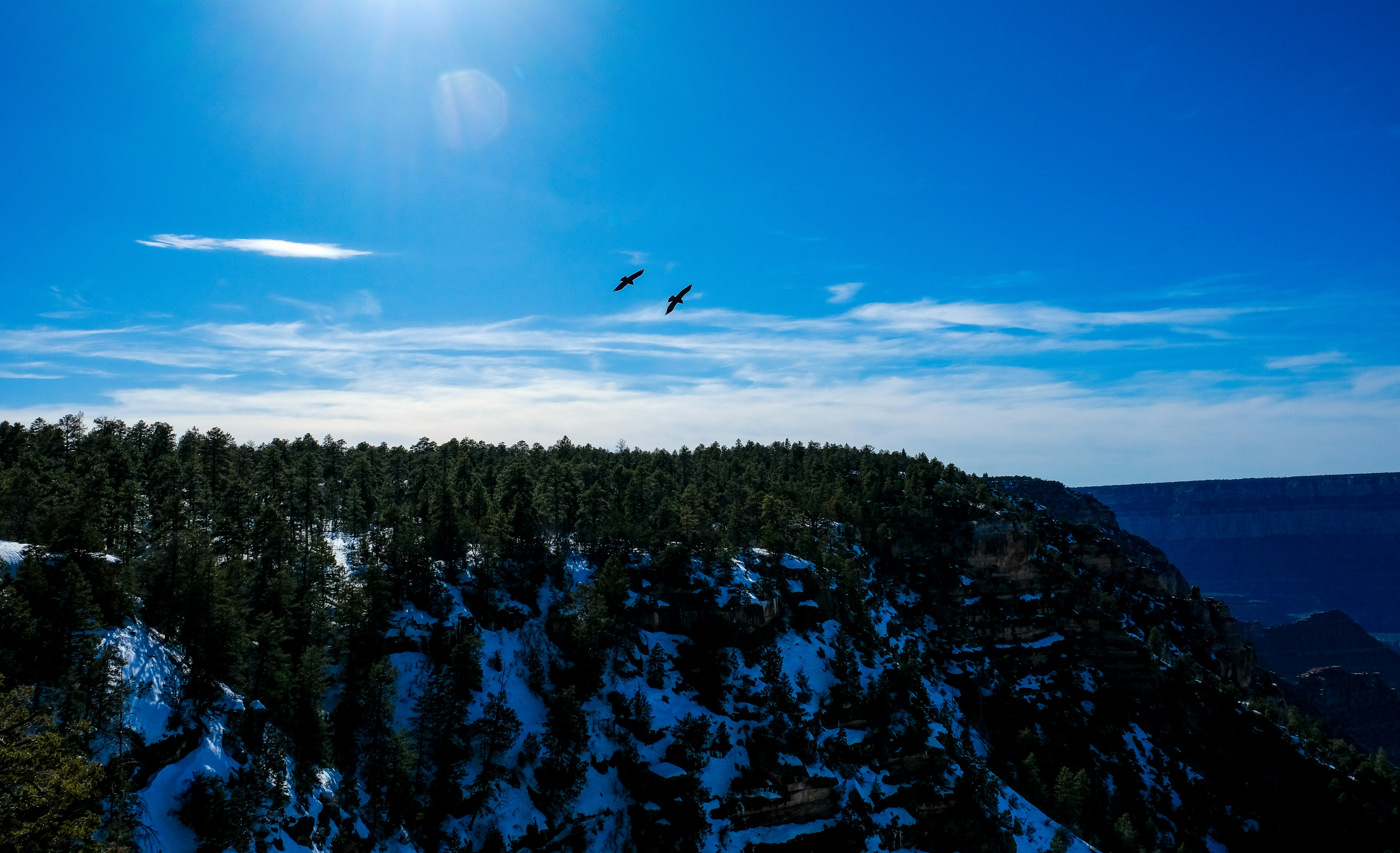 a bird flying over a snow covered mountain
