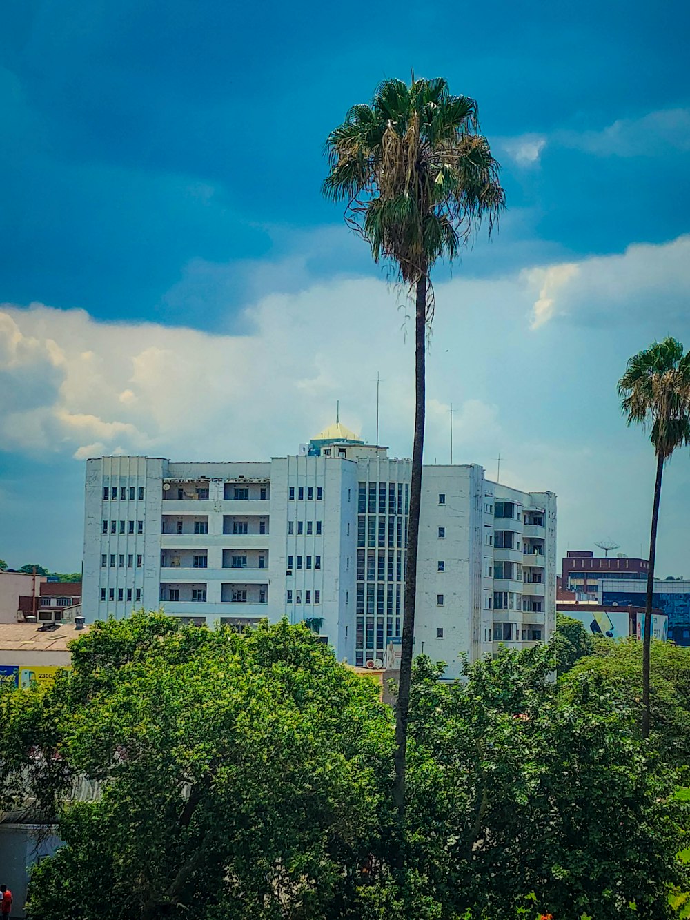 a tall white building sitting next to a lush green forest