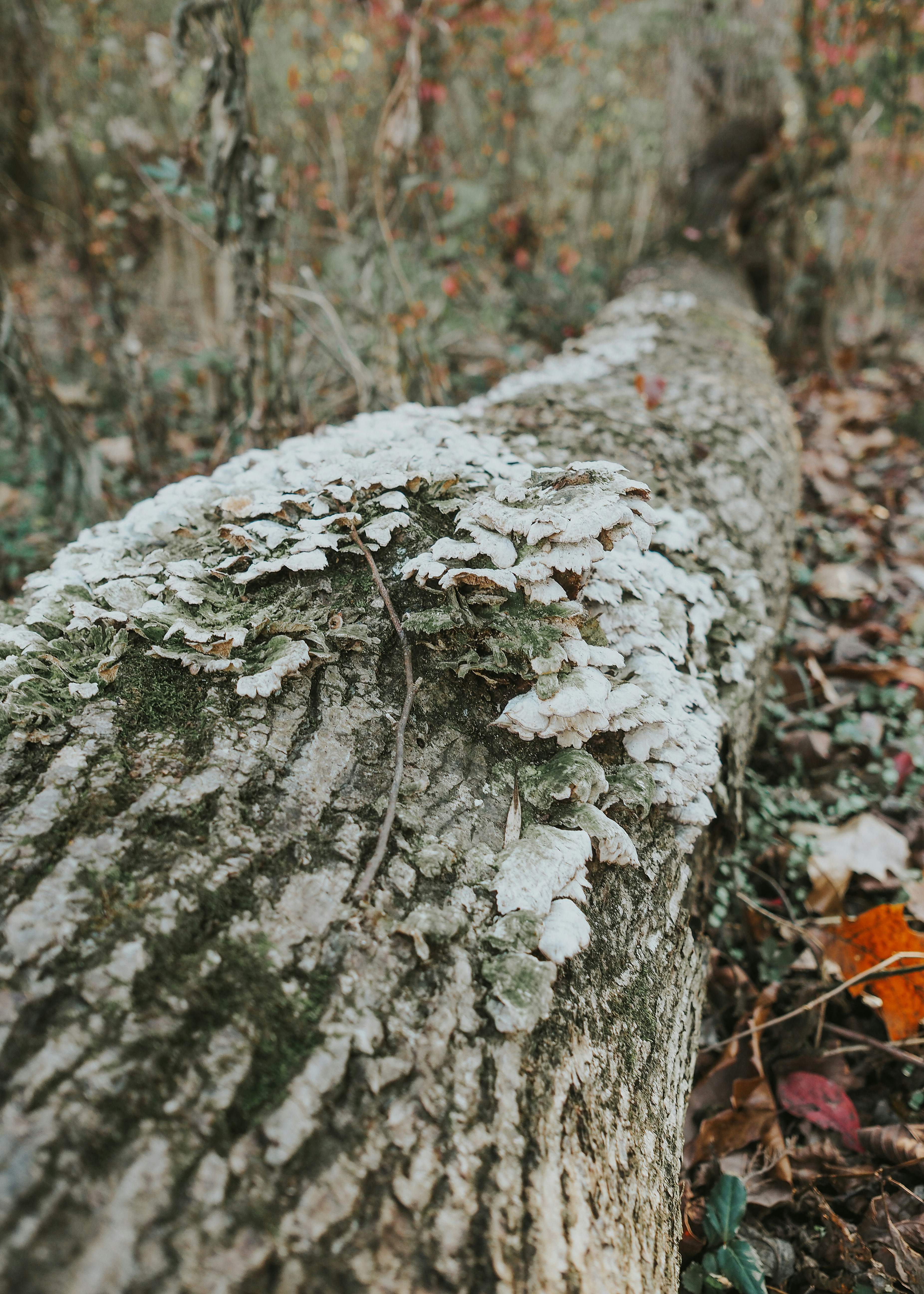 Photo by fieldworkframes