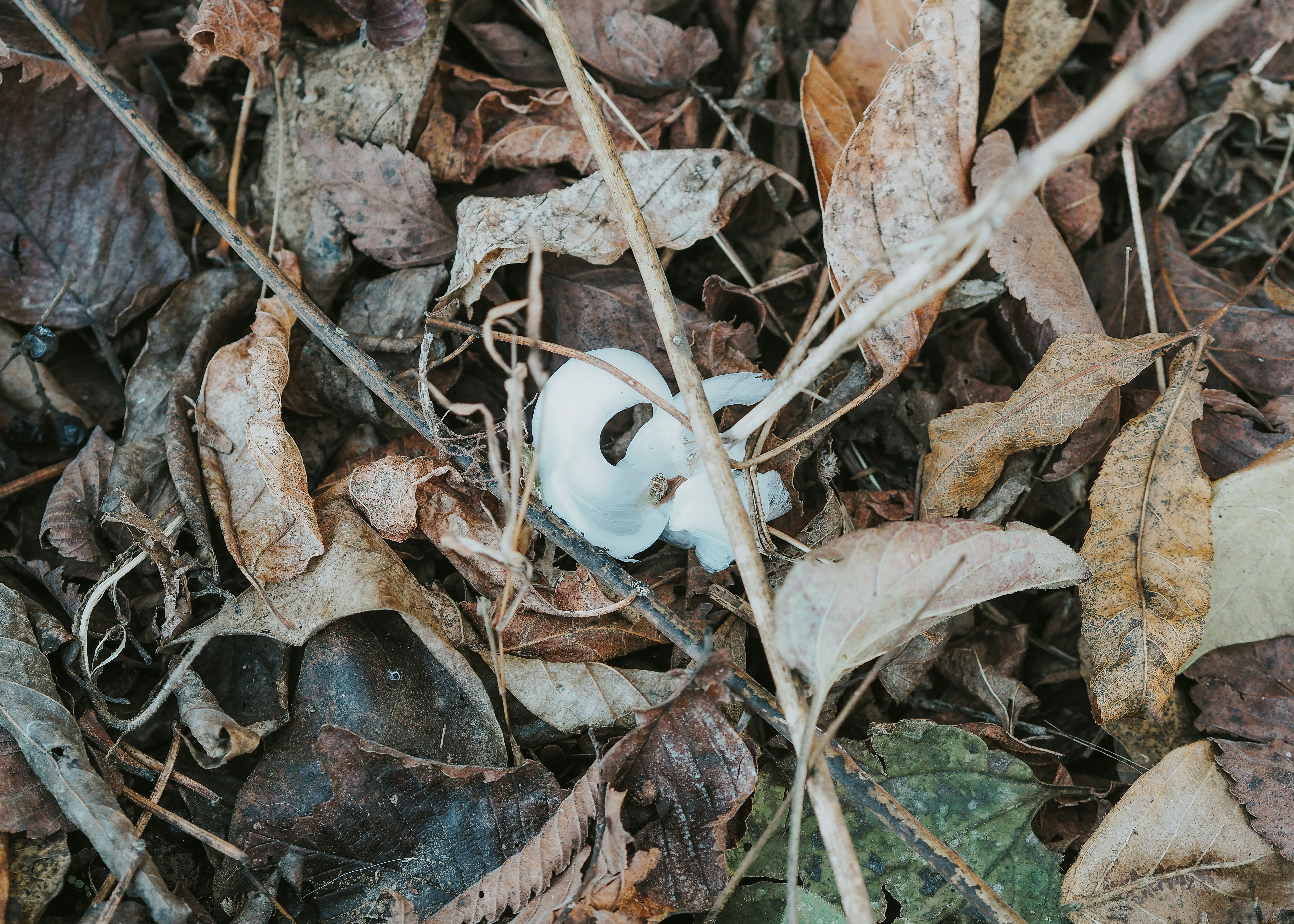 Photo by fieldworkframes