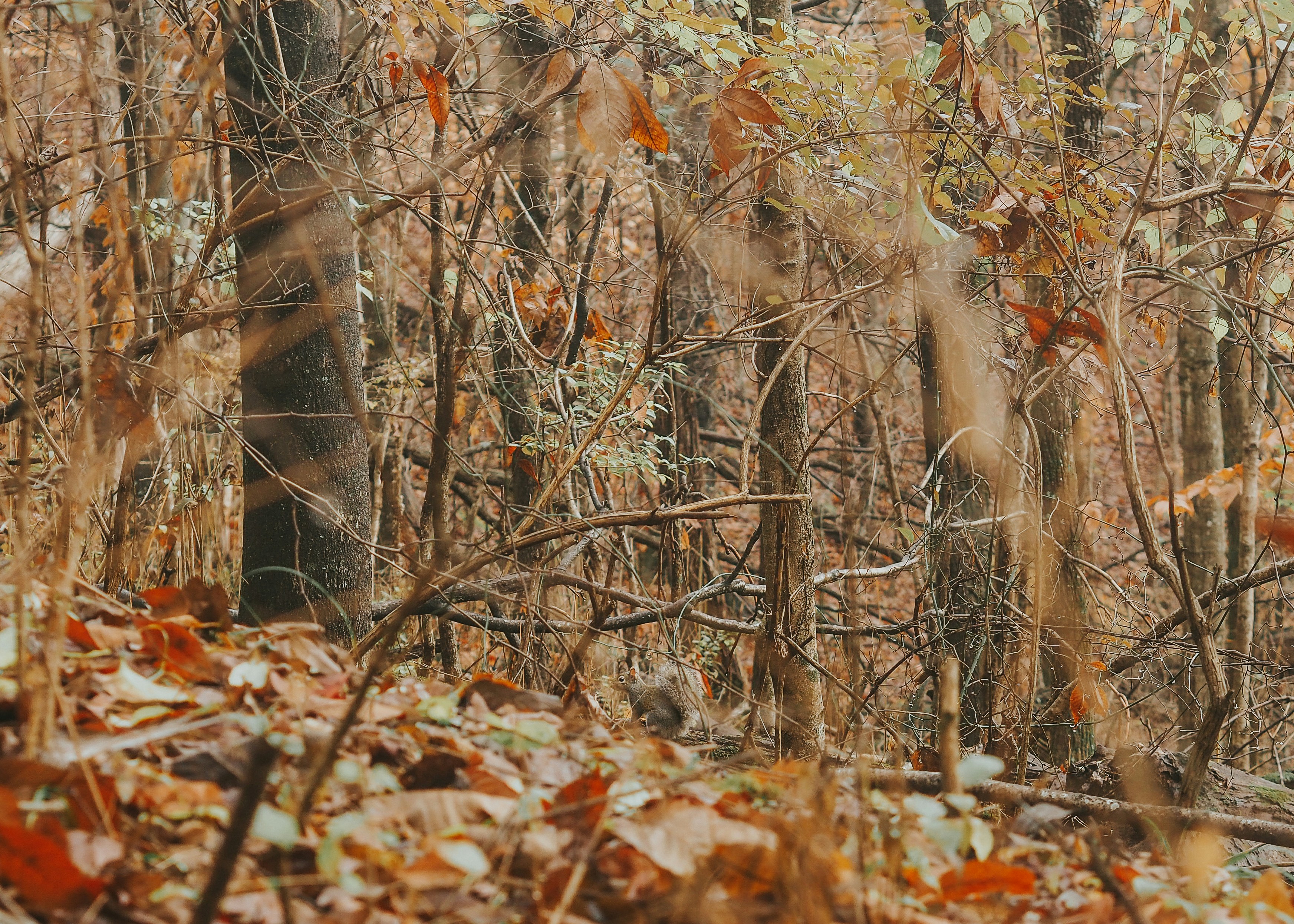 Photo by fieldworkframes