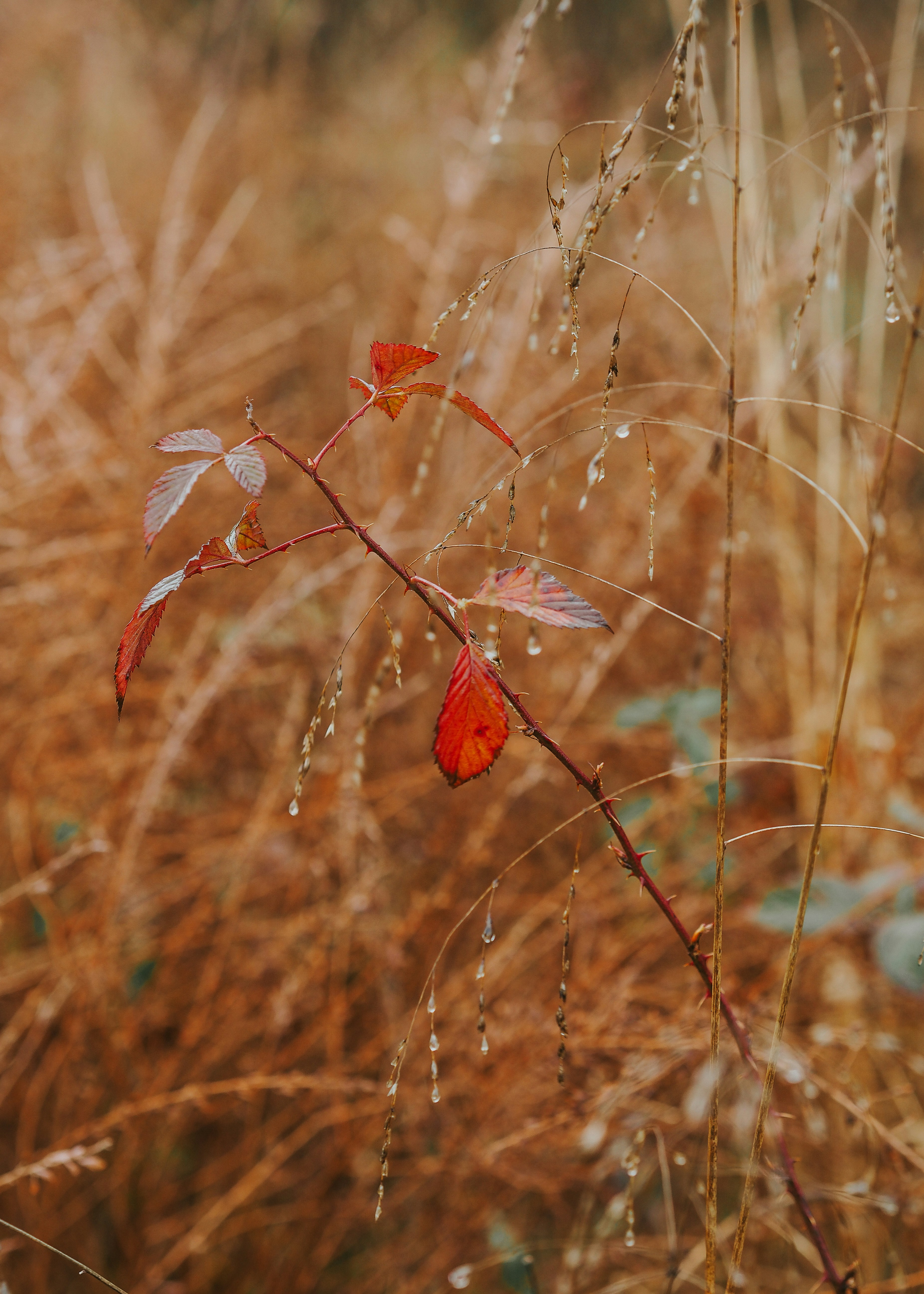 Photo by fieldworkframes