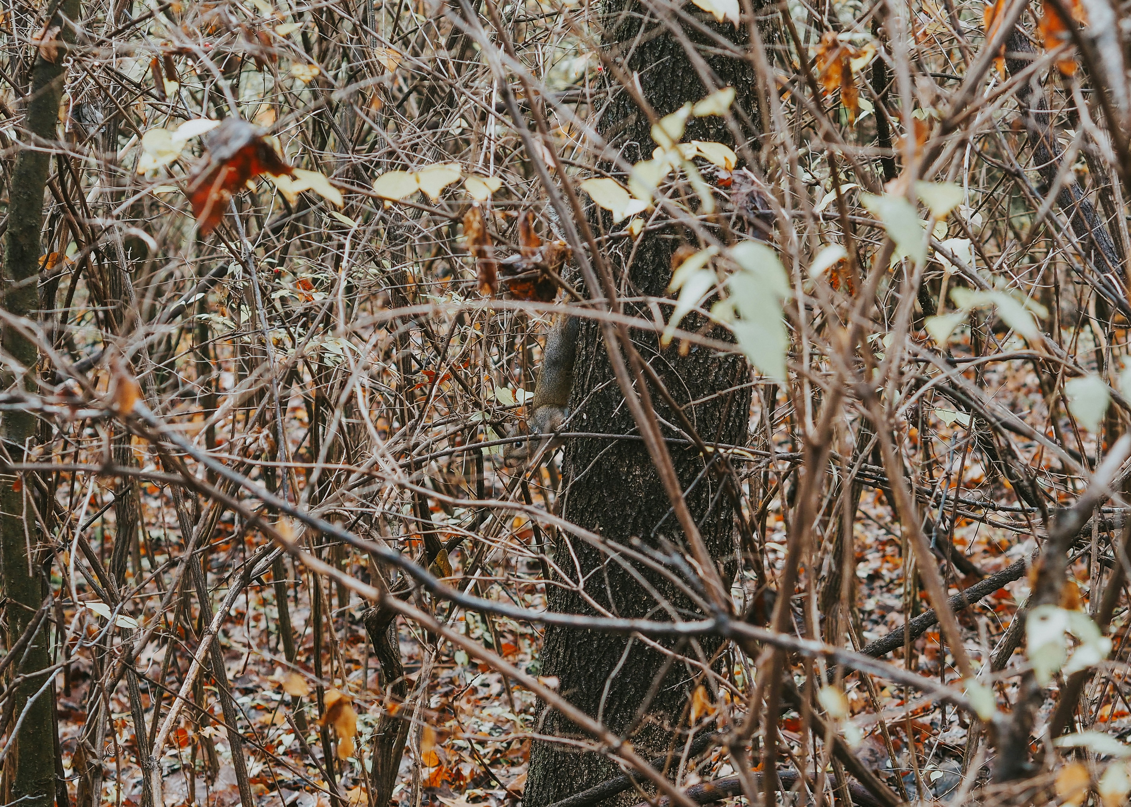 Photo by fieldworkframes