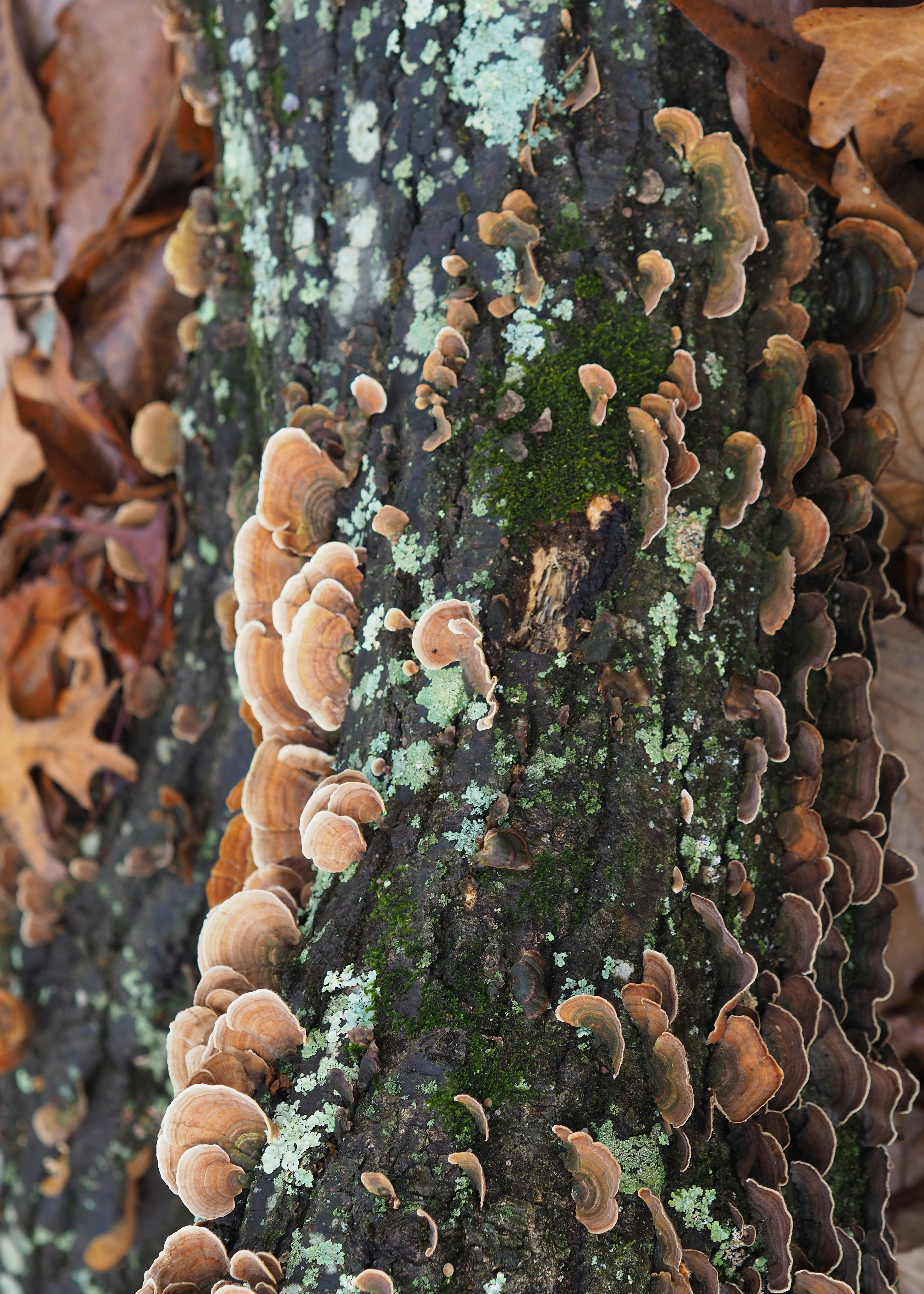 Photo by fieldworkframes