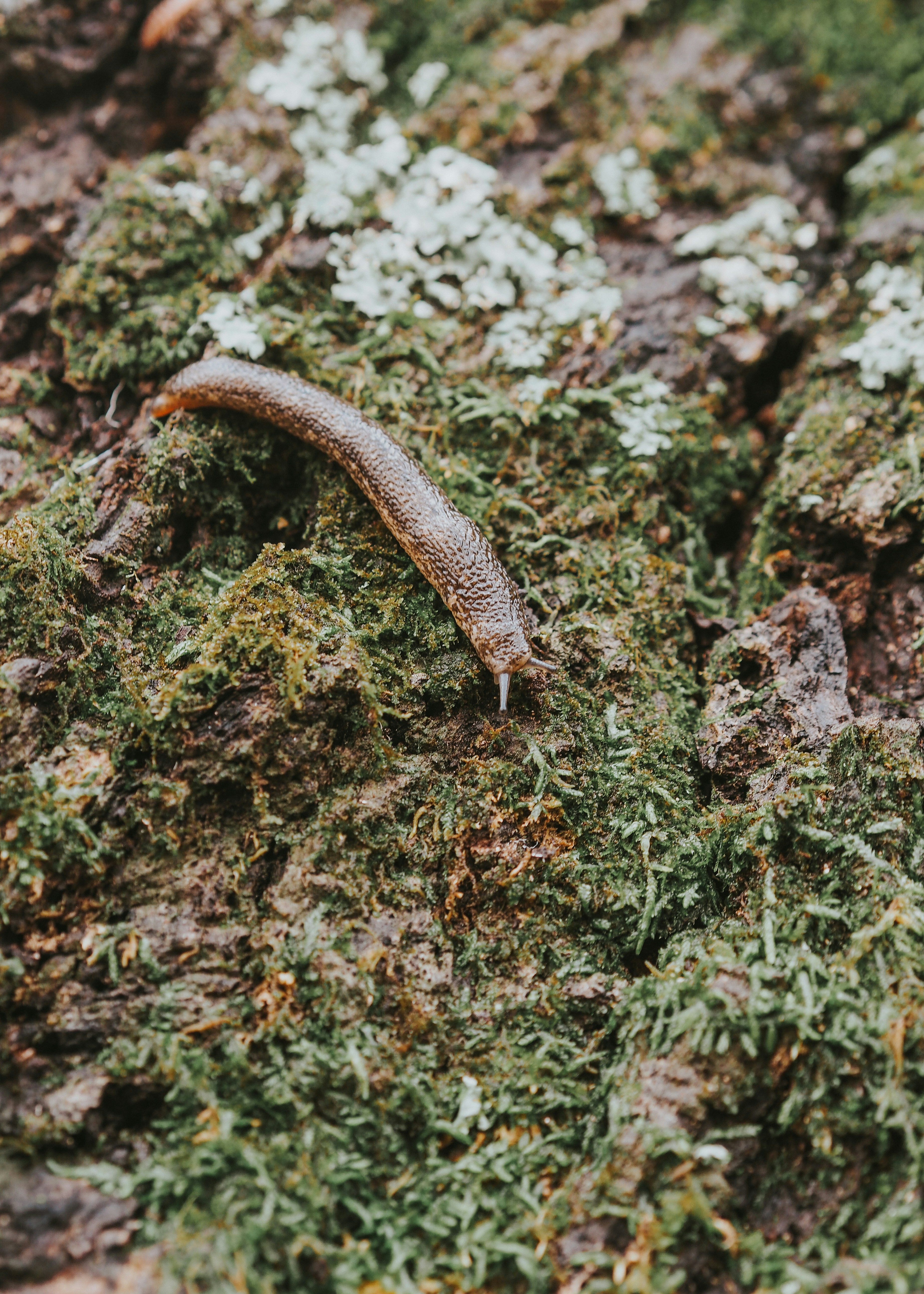 Photo by fieldworkframes