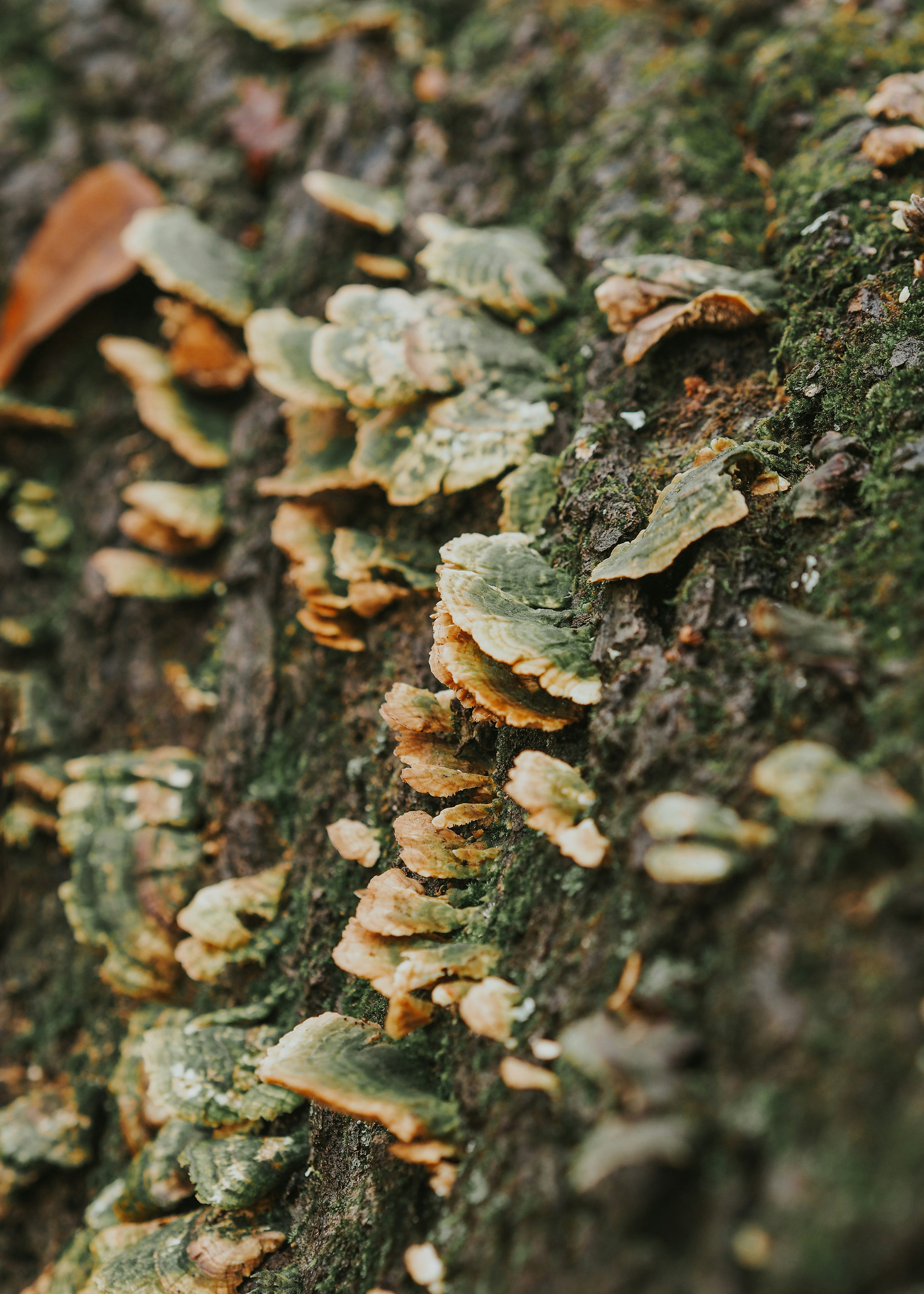 Photo by fieldworkframes