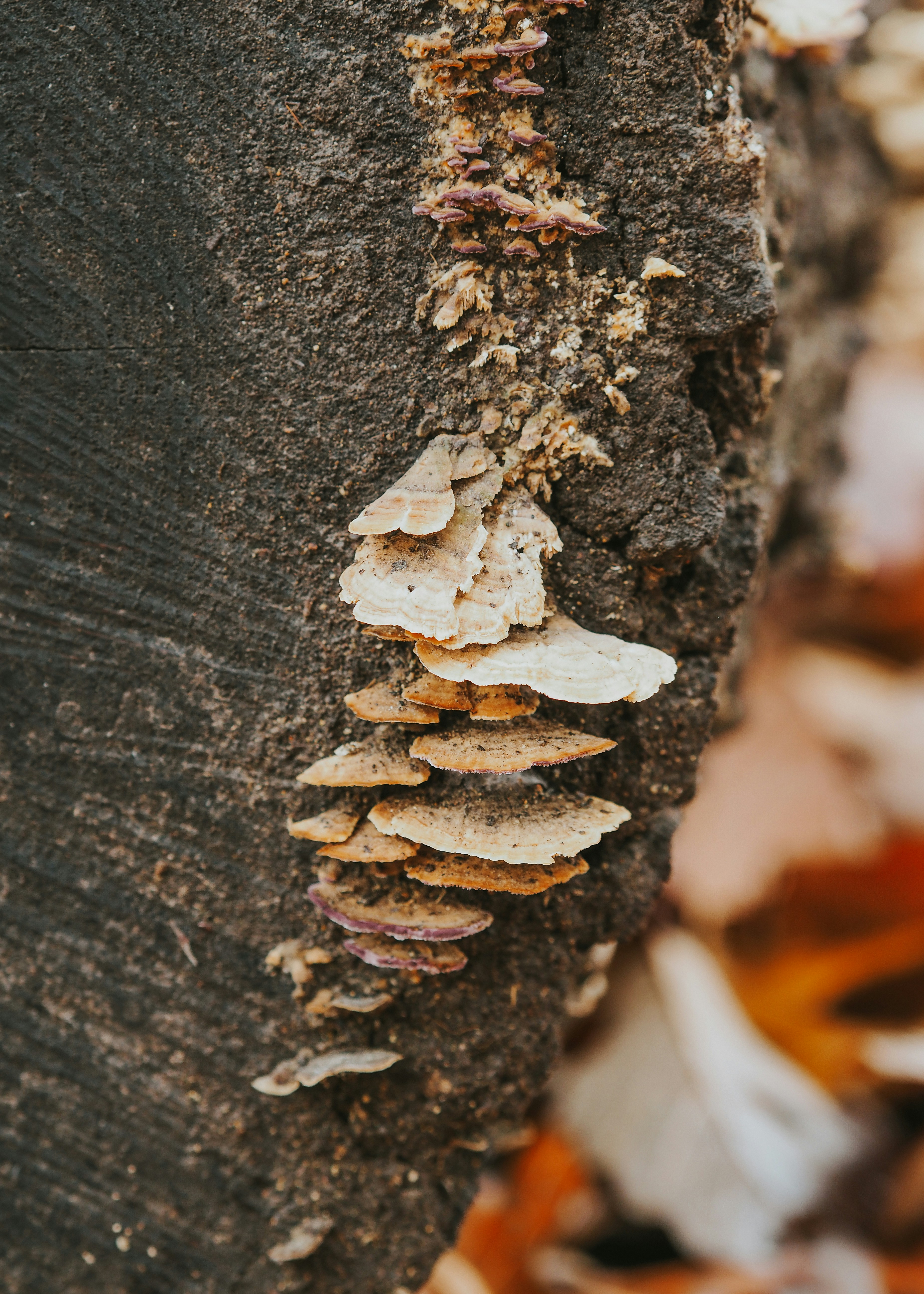 Photo by fieldworkframes