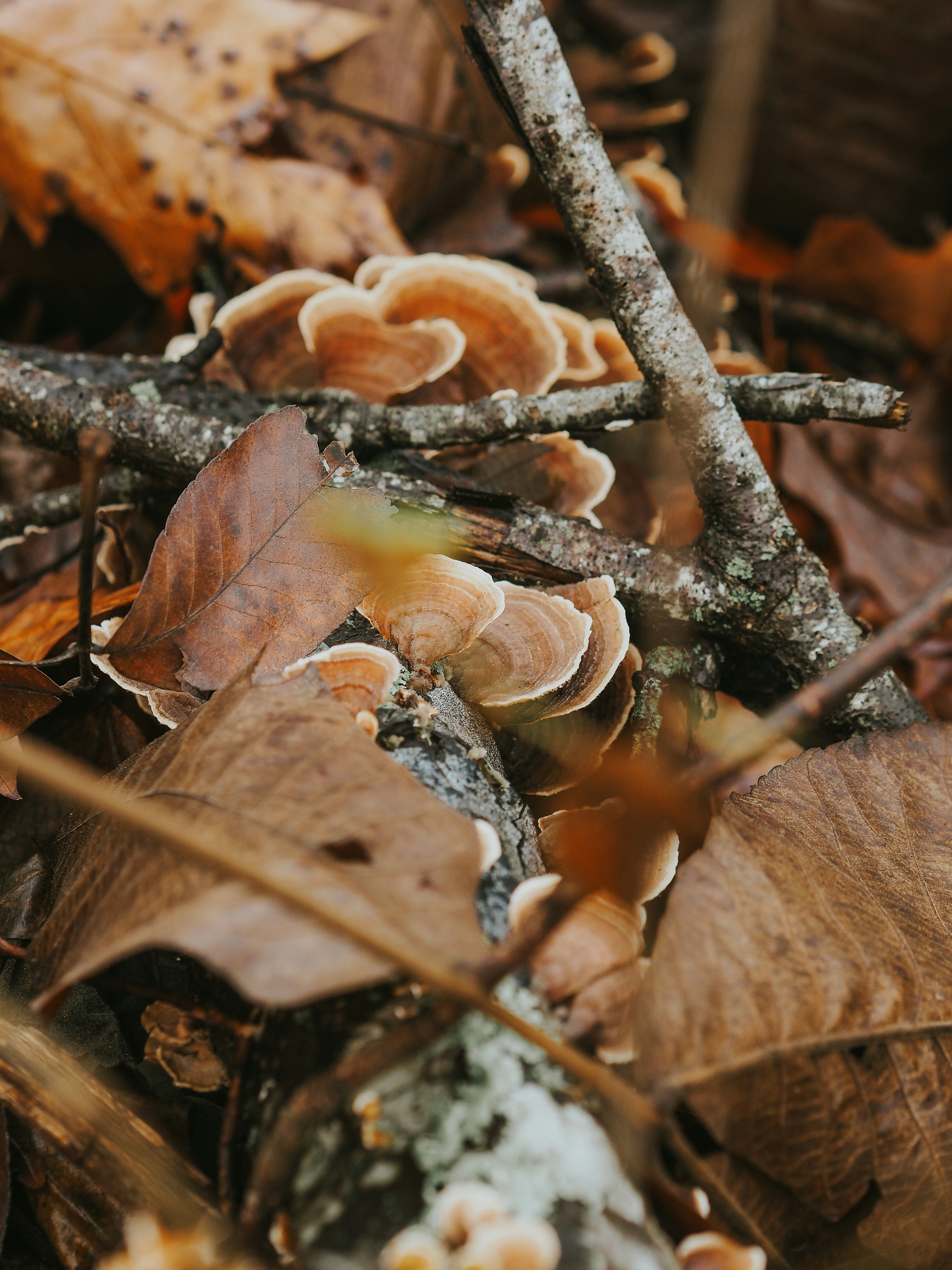 Photo by fieldworkframes