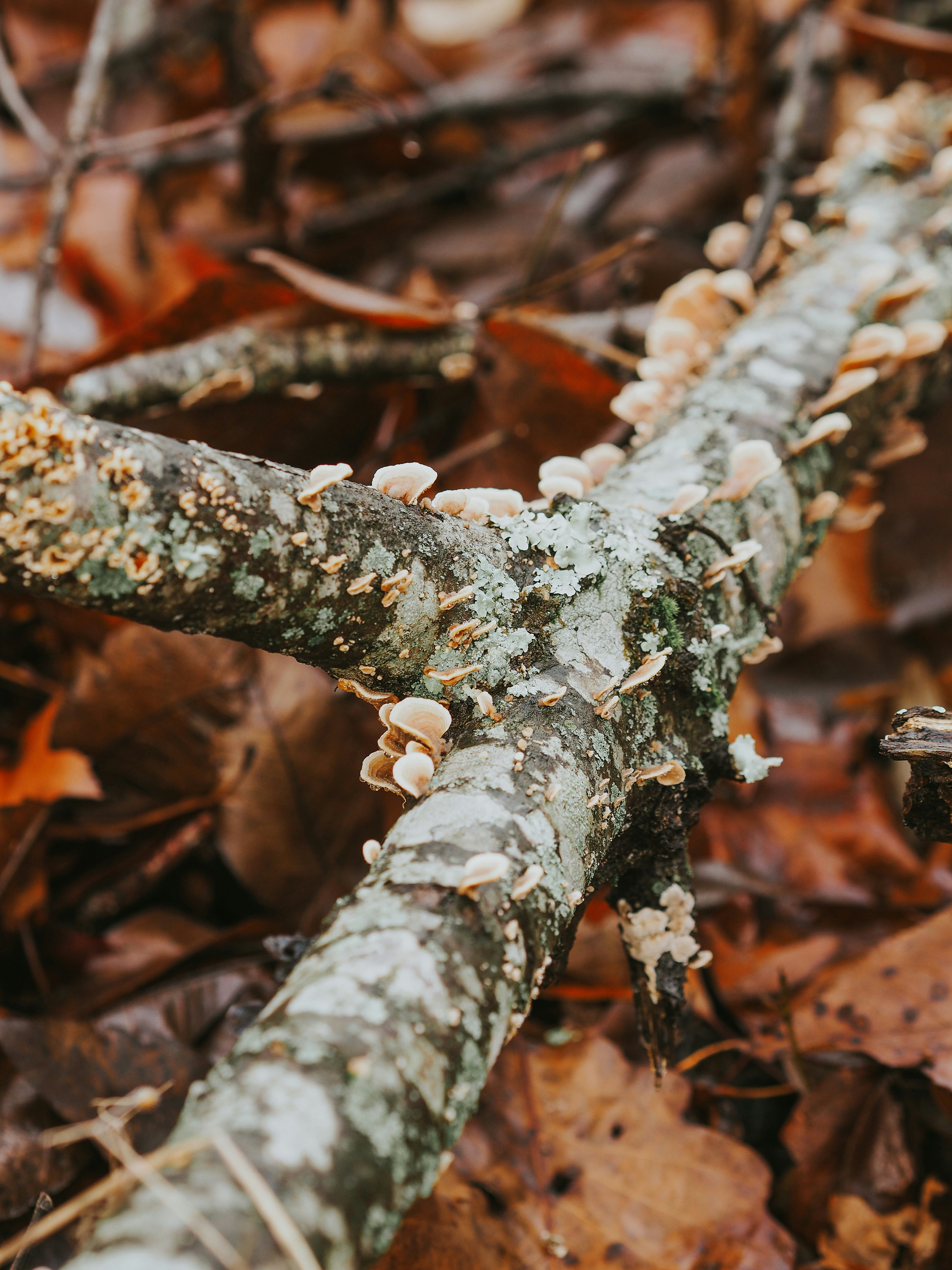 Photo by fieldworkframes