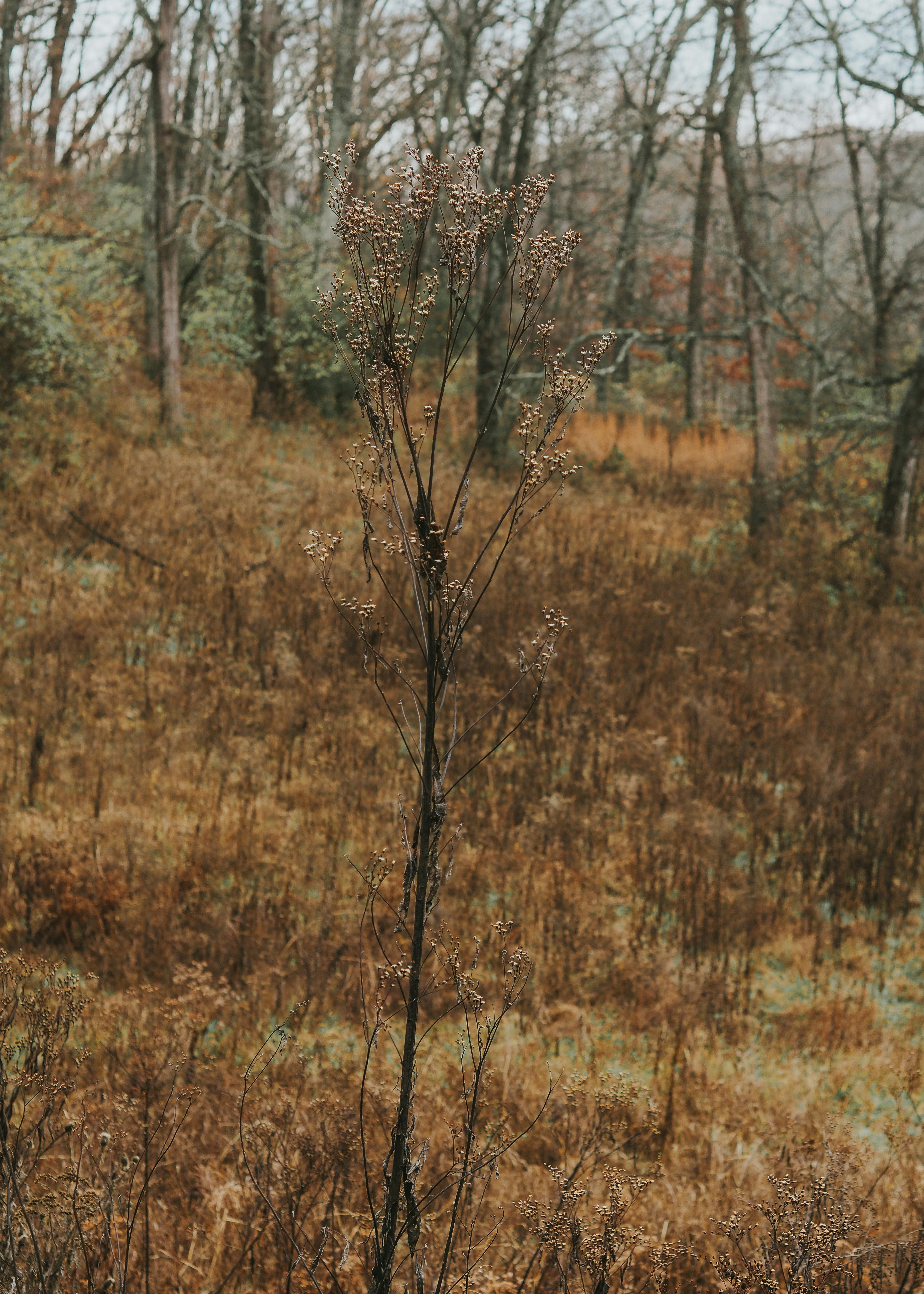 Photo by fieldworkframes