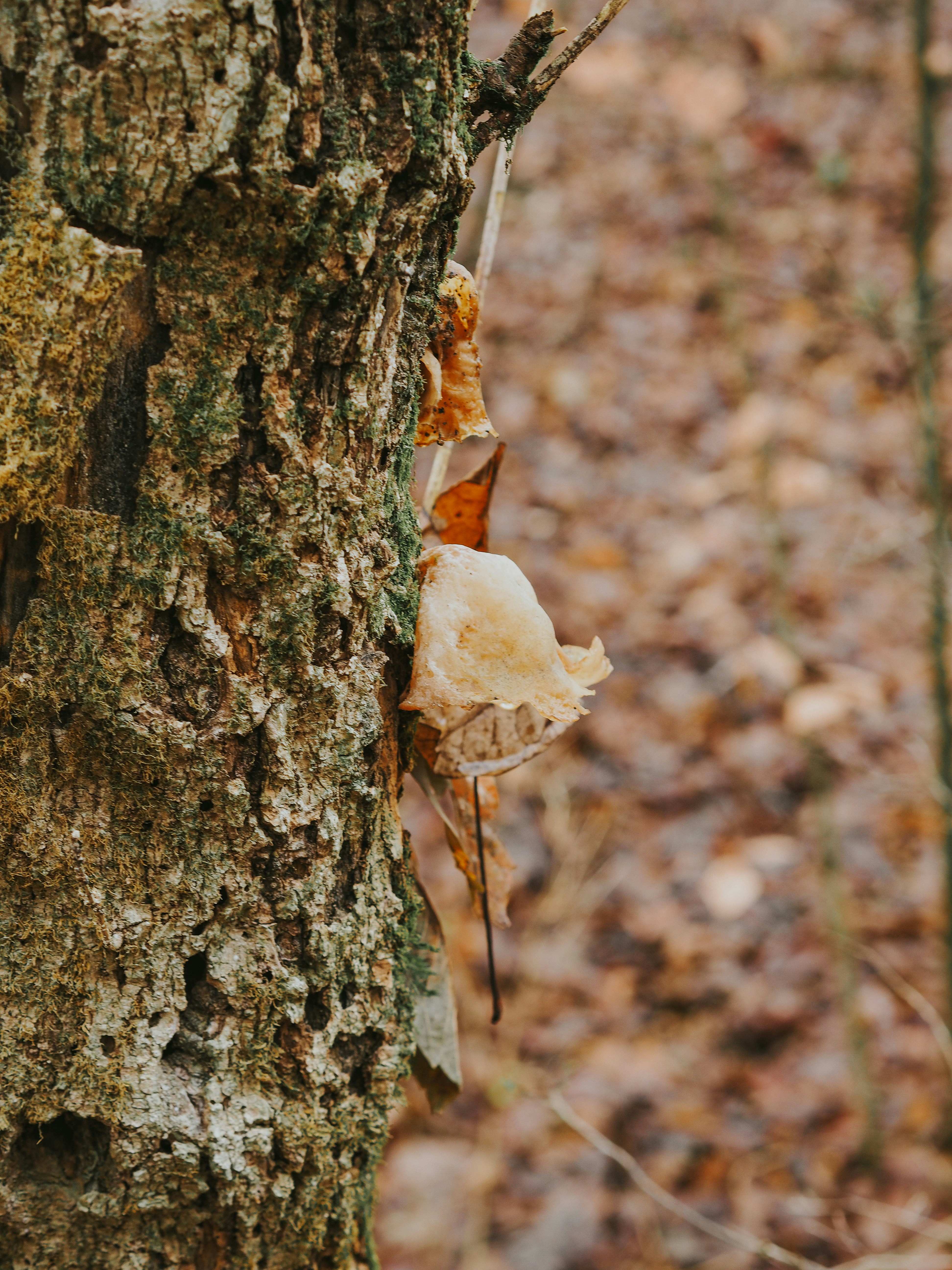 Photo by fieldworkframes