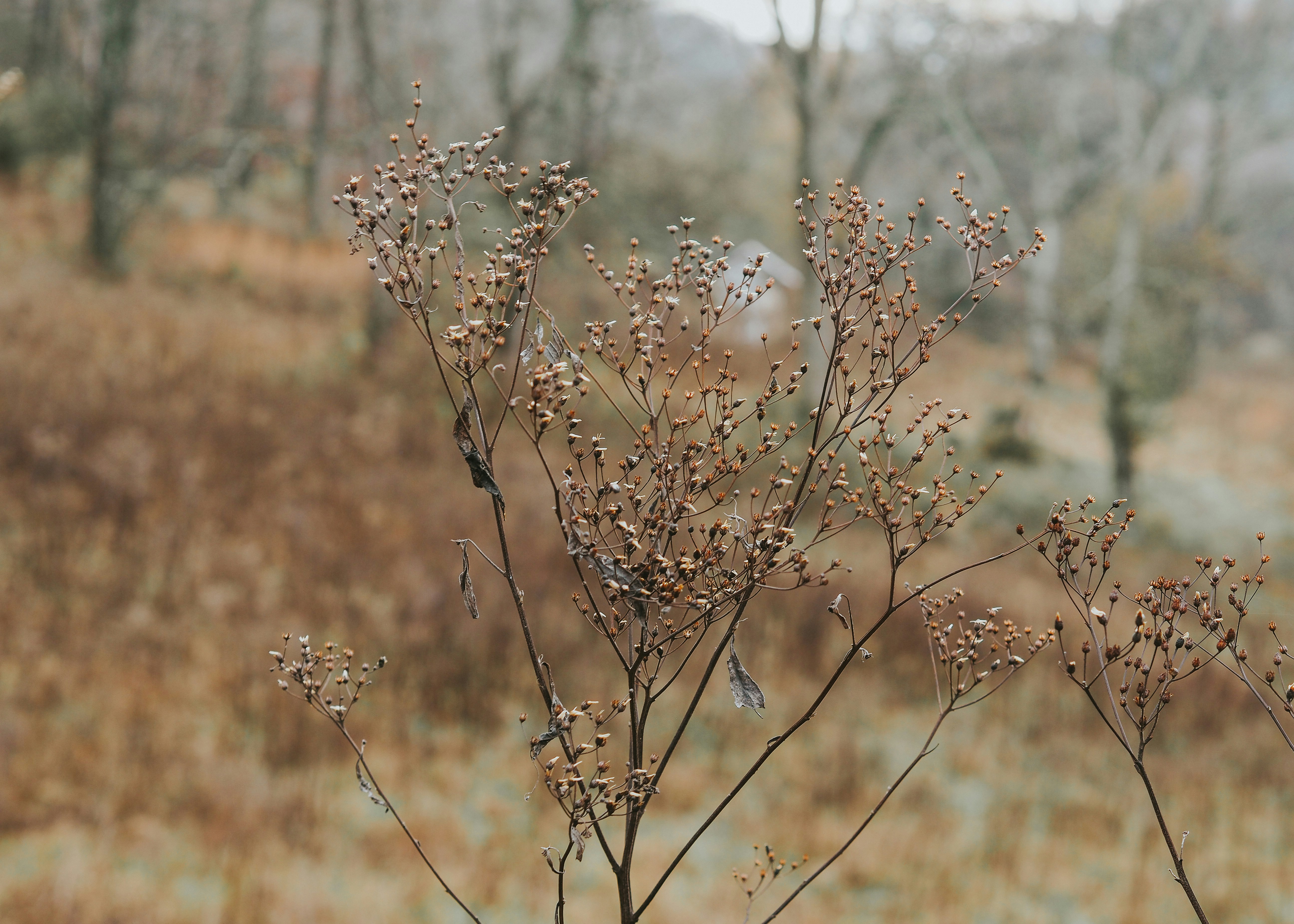 Photo by fieldworkframes