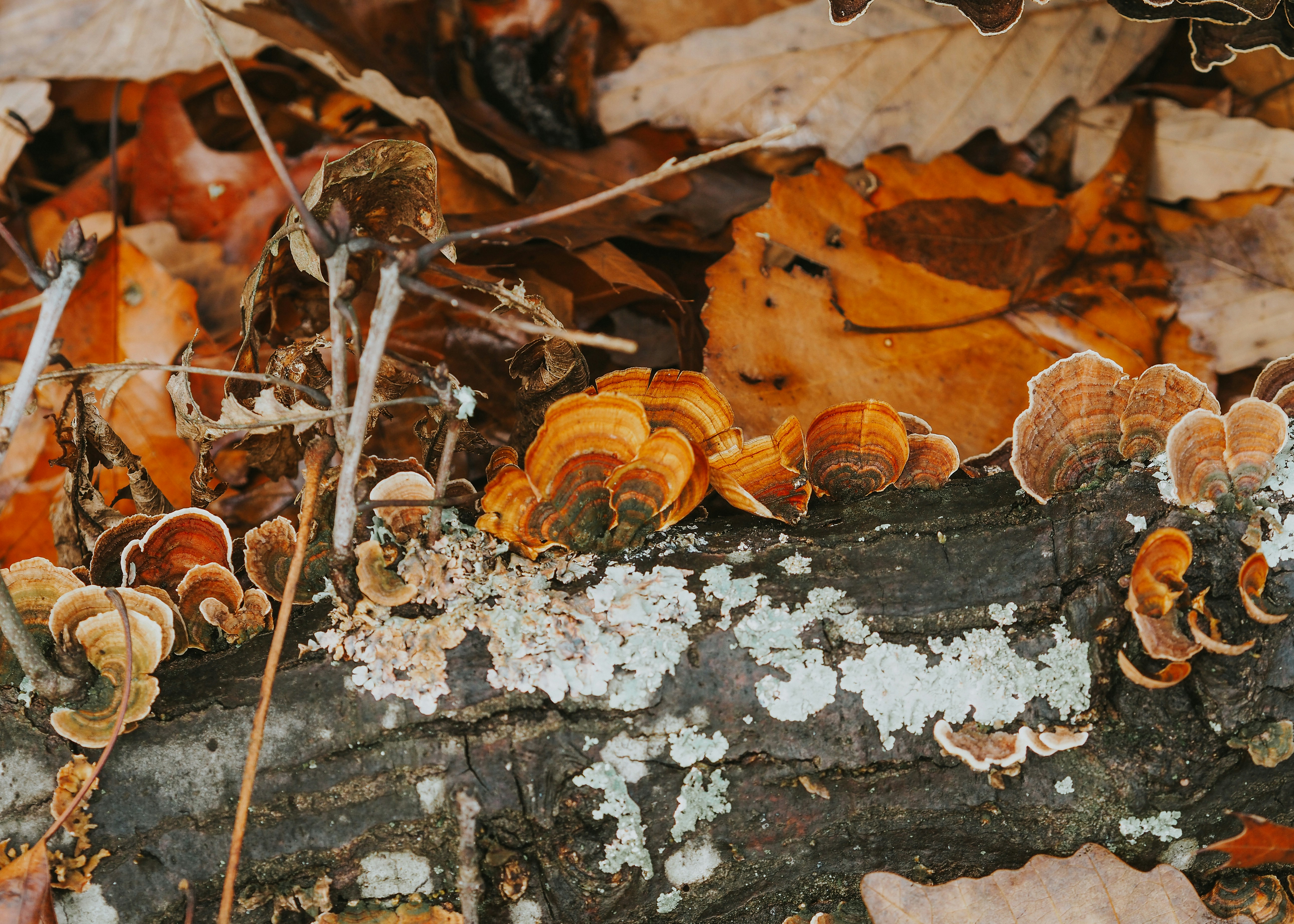 Photo by fieldworkframes