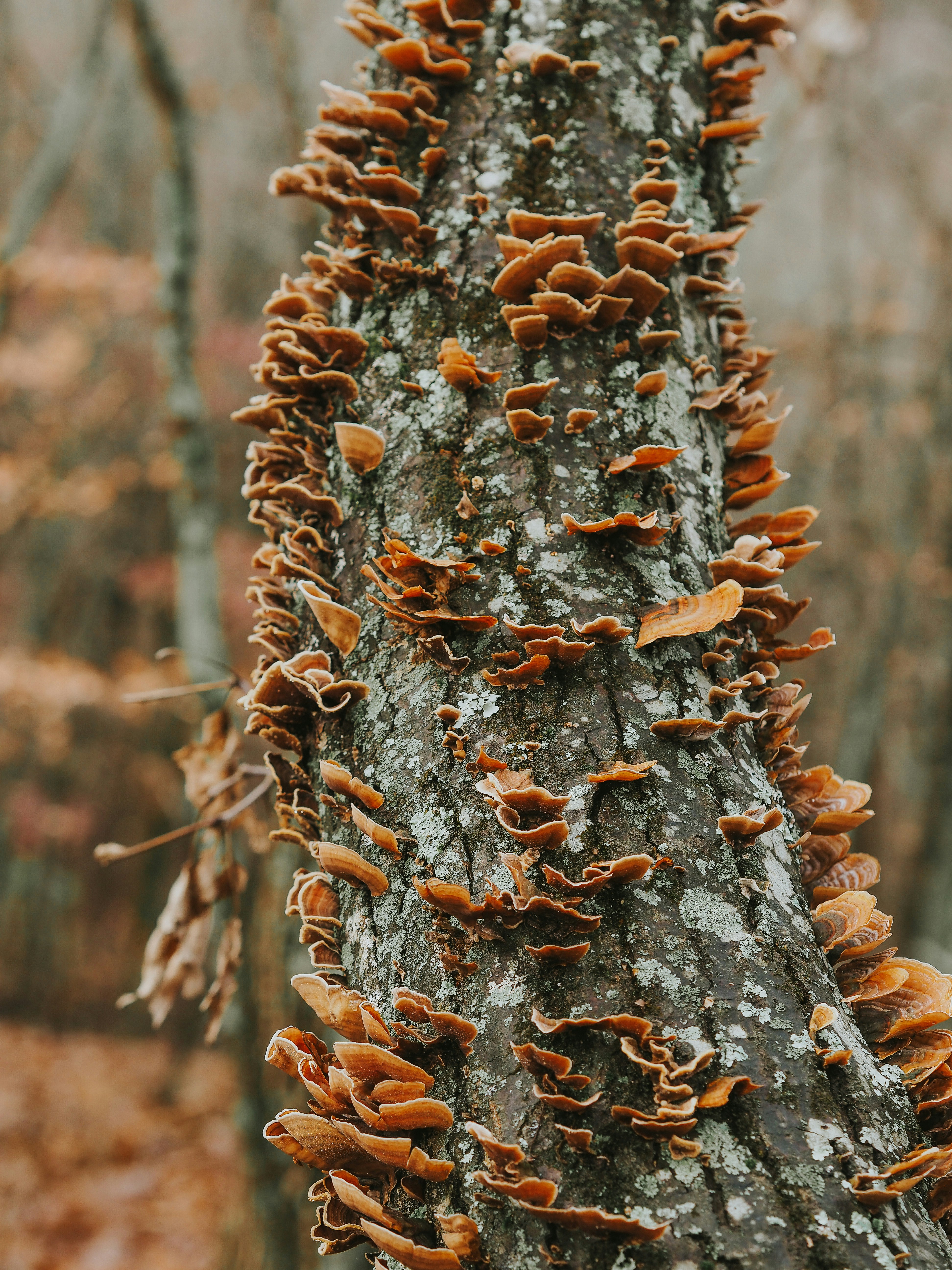 Photo by fieldworkframes