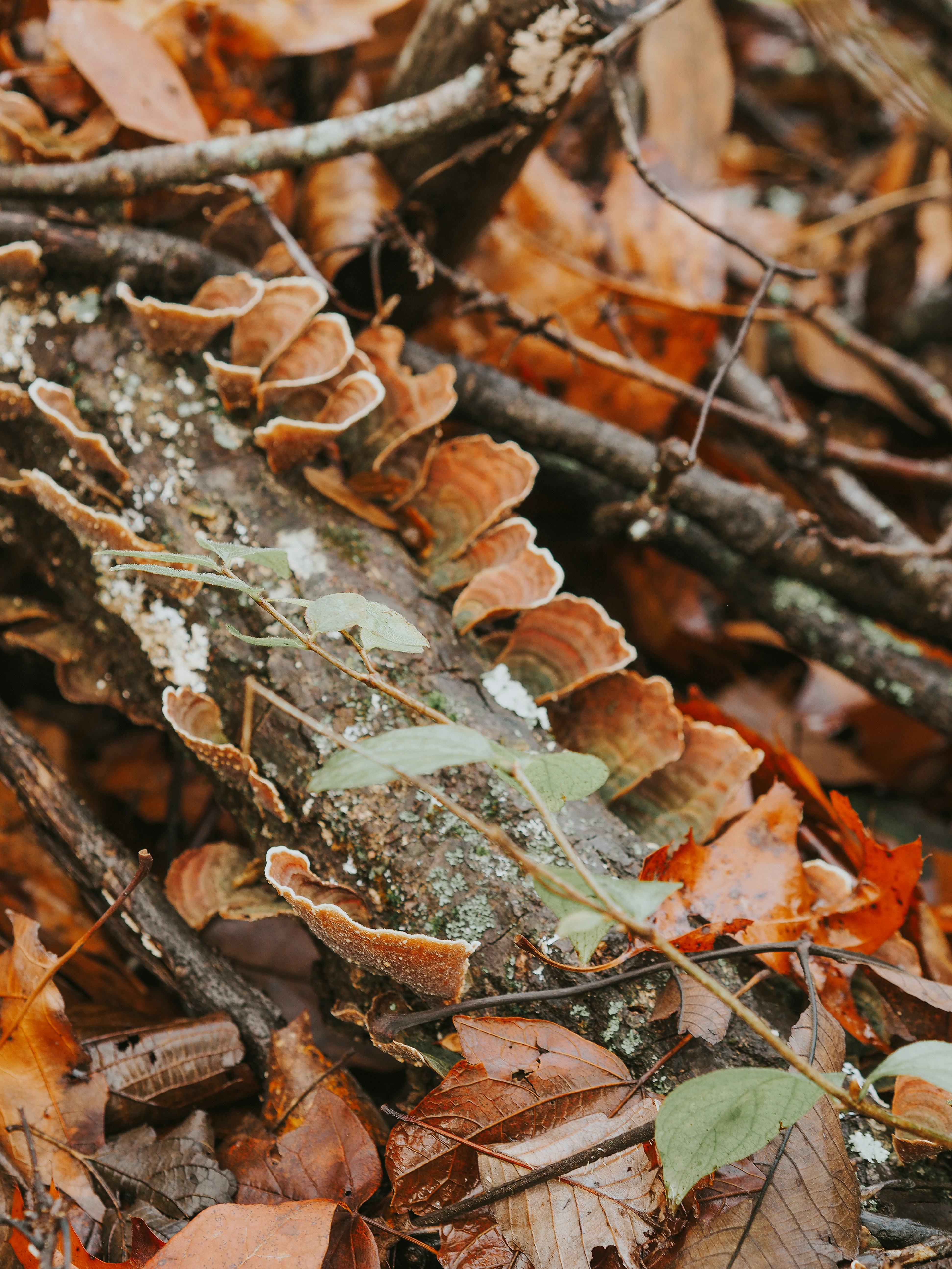 Photo by fieldworkframes