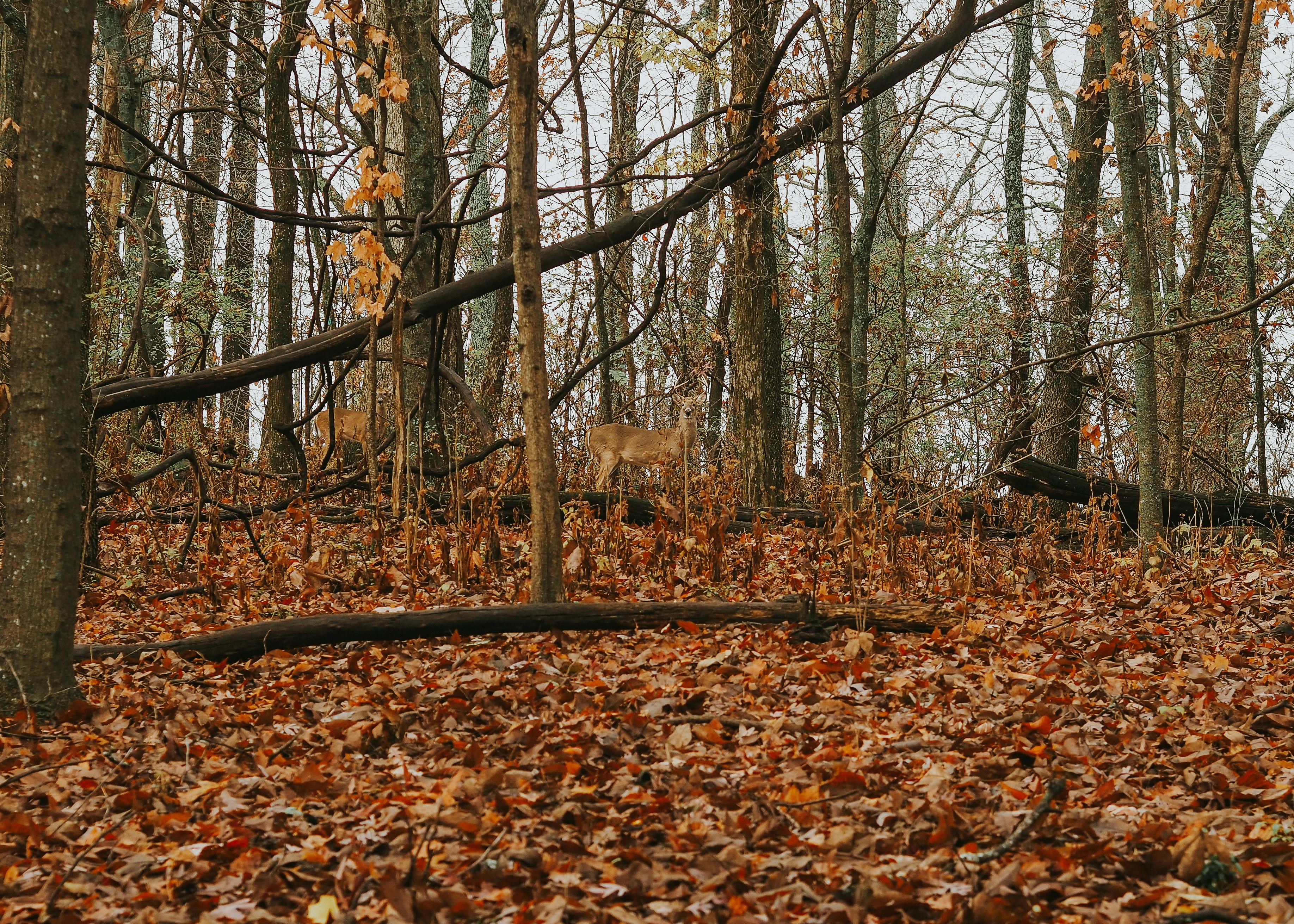 Photo by fieldworkframes