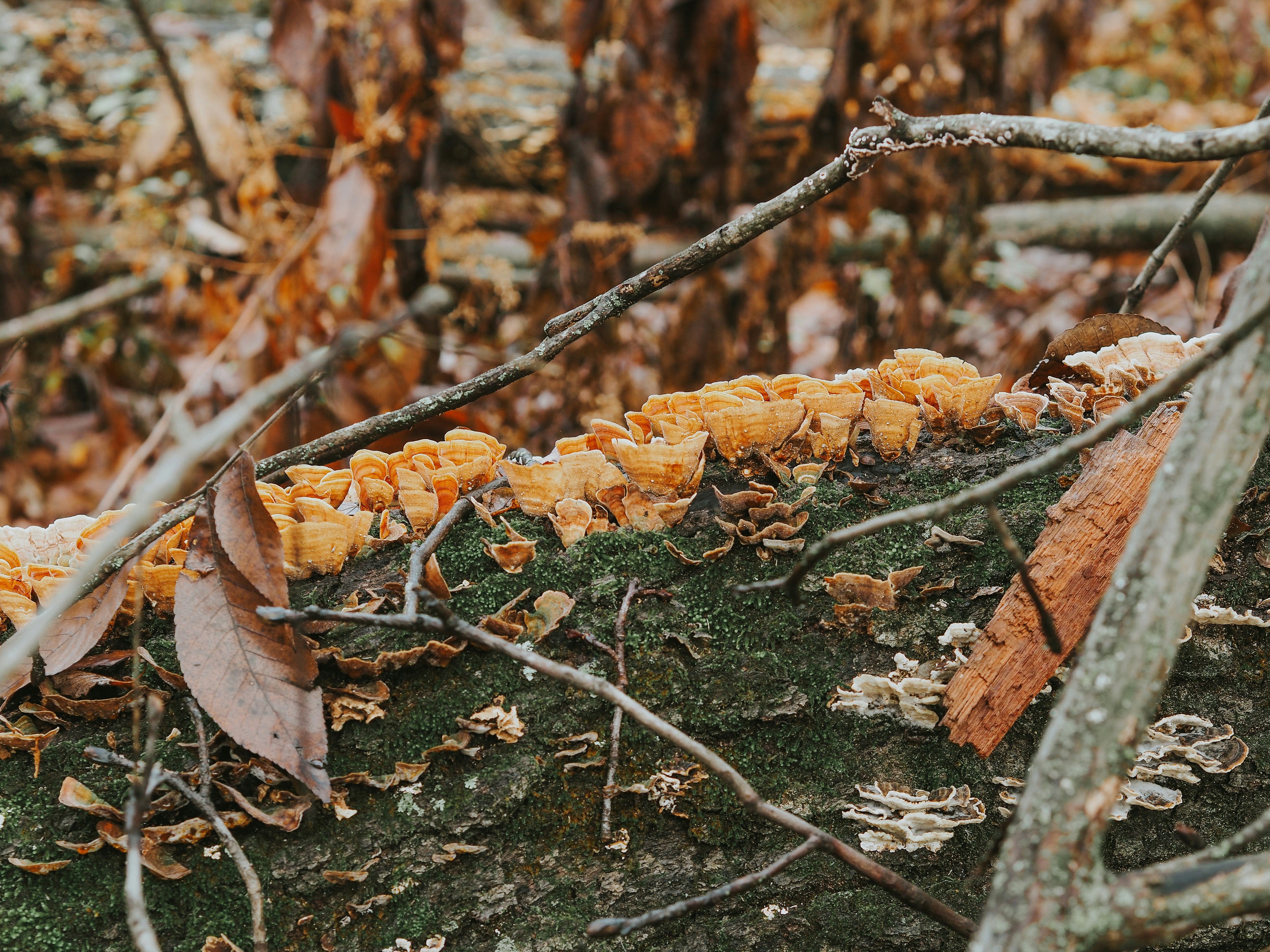 Photo by fieldworkframes