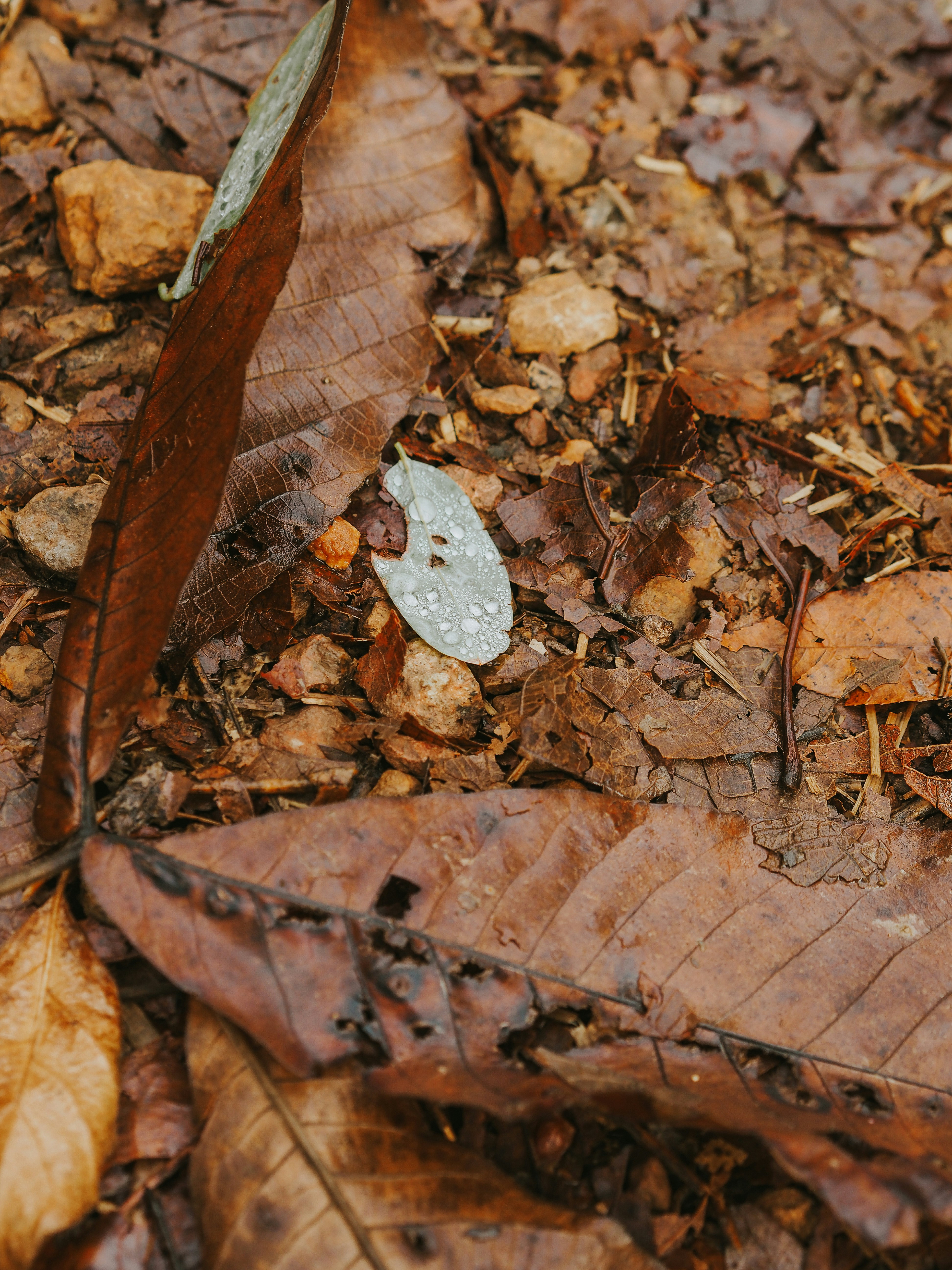 Photo by fieldworkframes