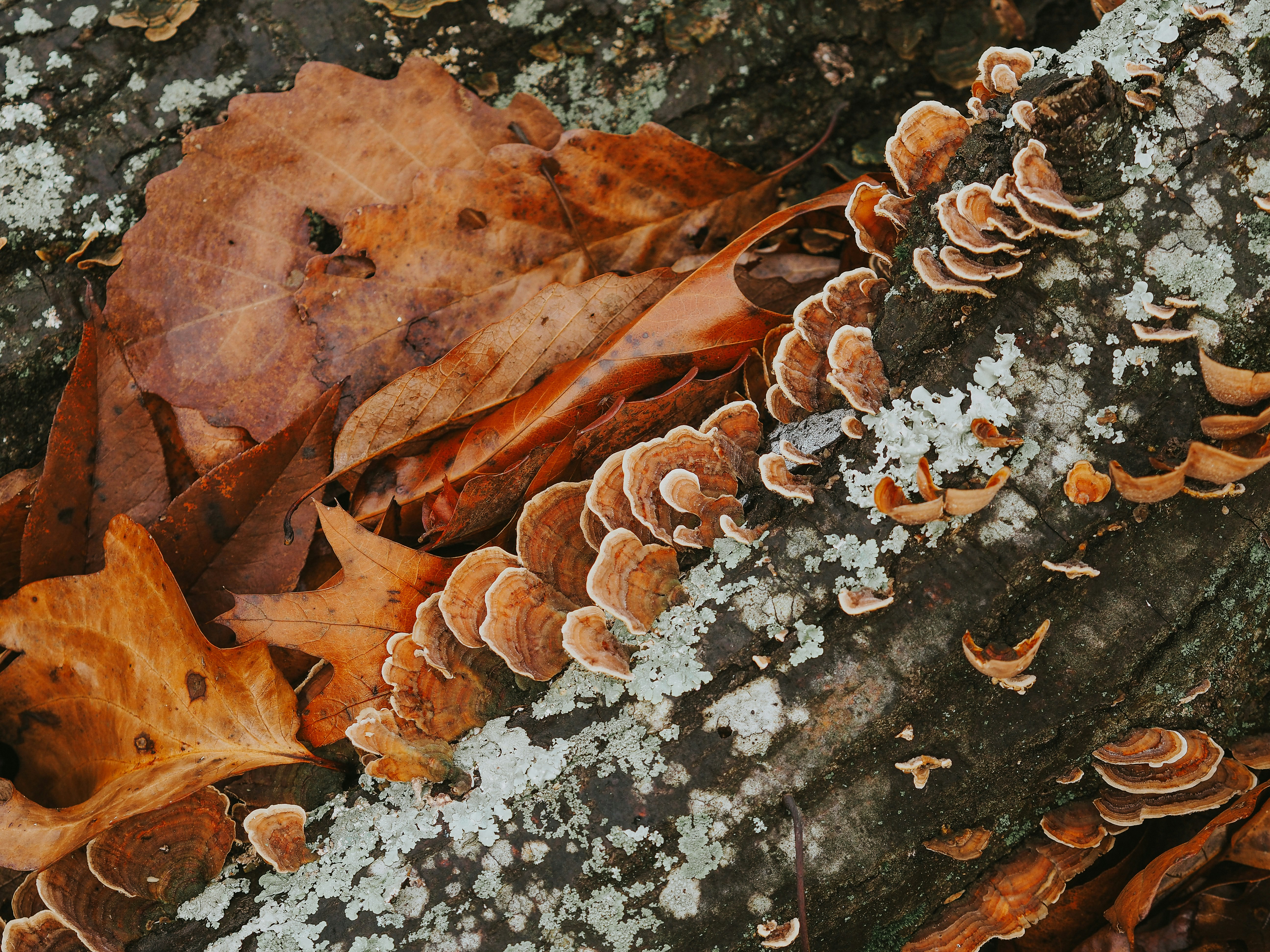 Photo by fieldworkframes