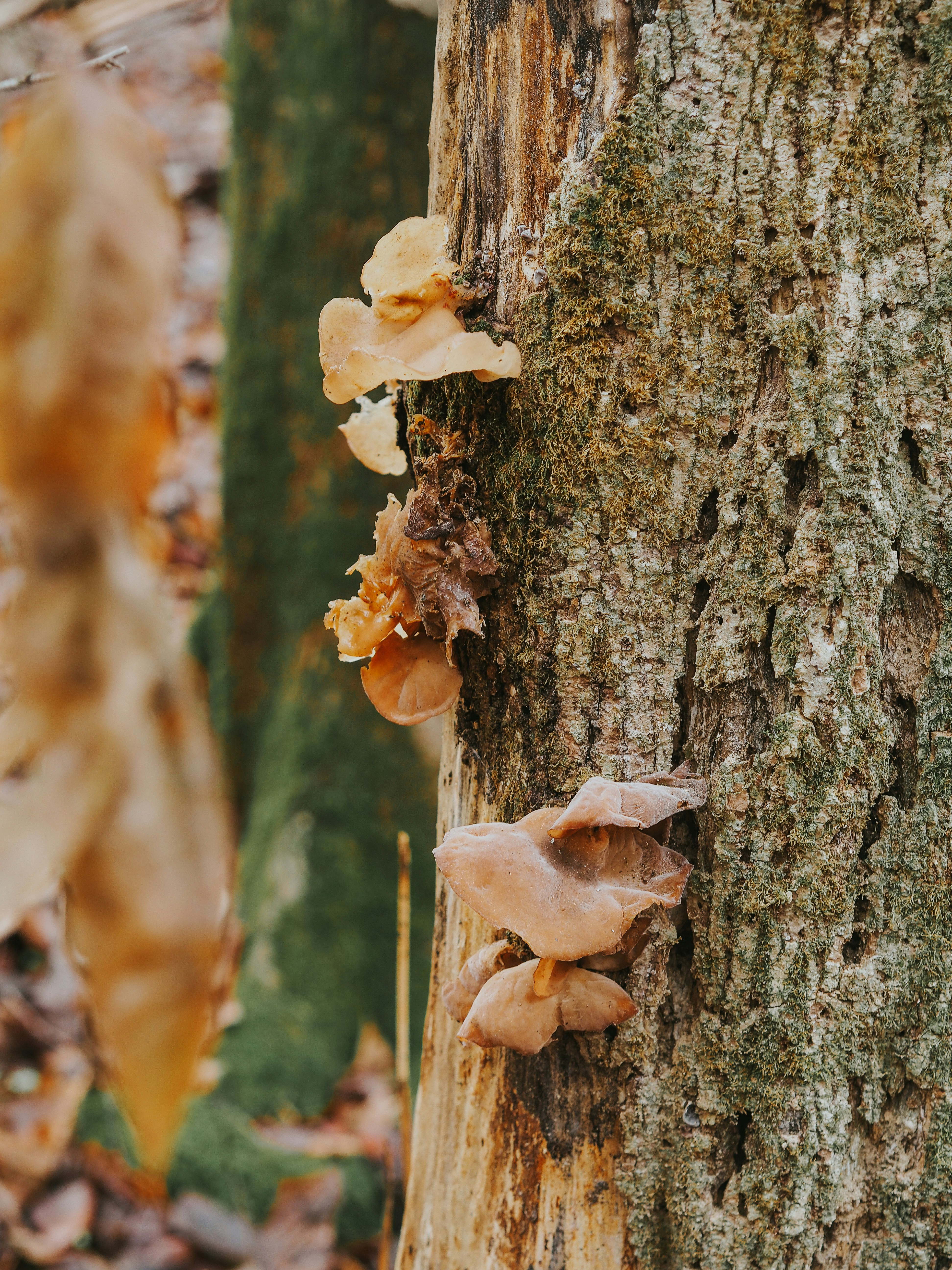 Photo by fieldworkframes