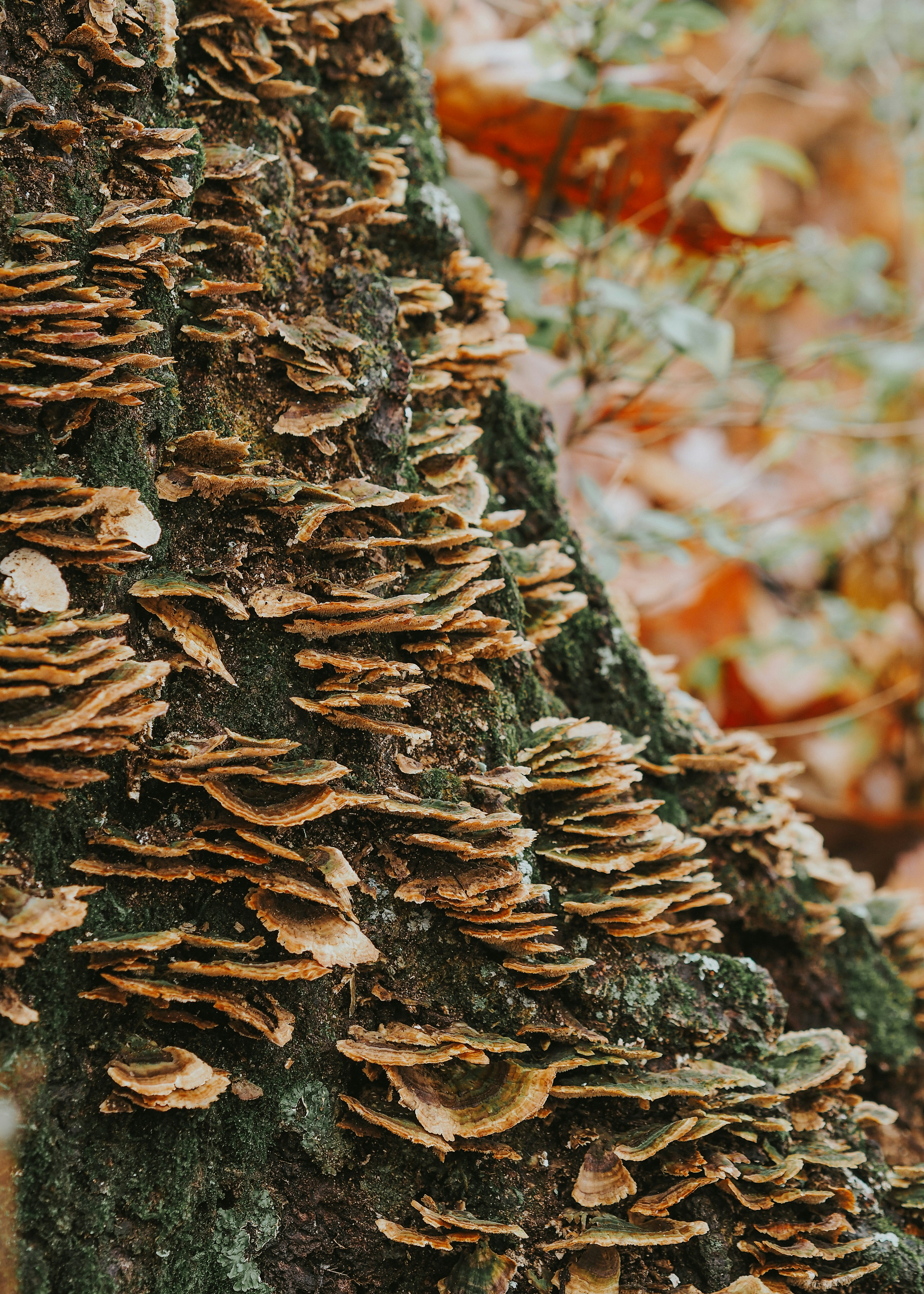 Photo by fieldworkframes