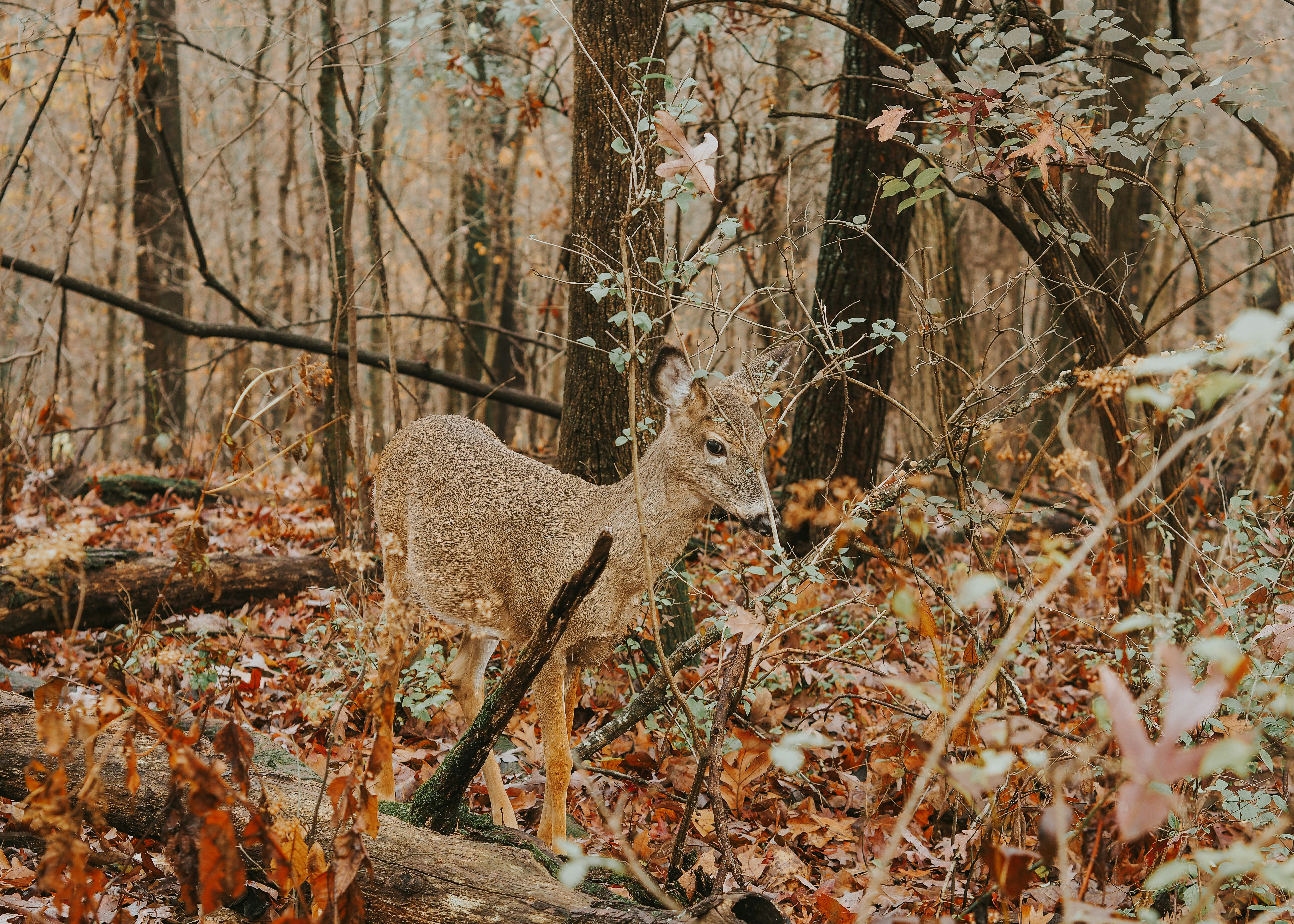 Photo by fieldworkframes