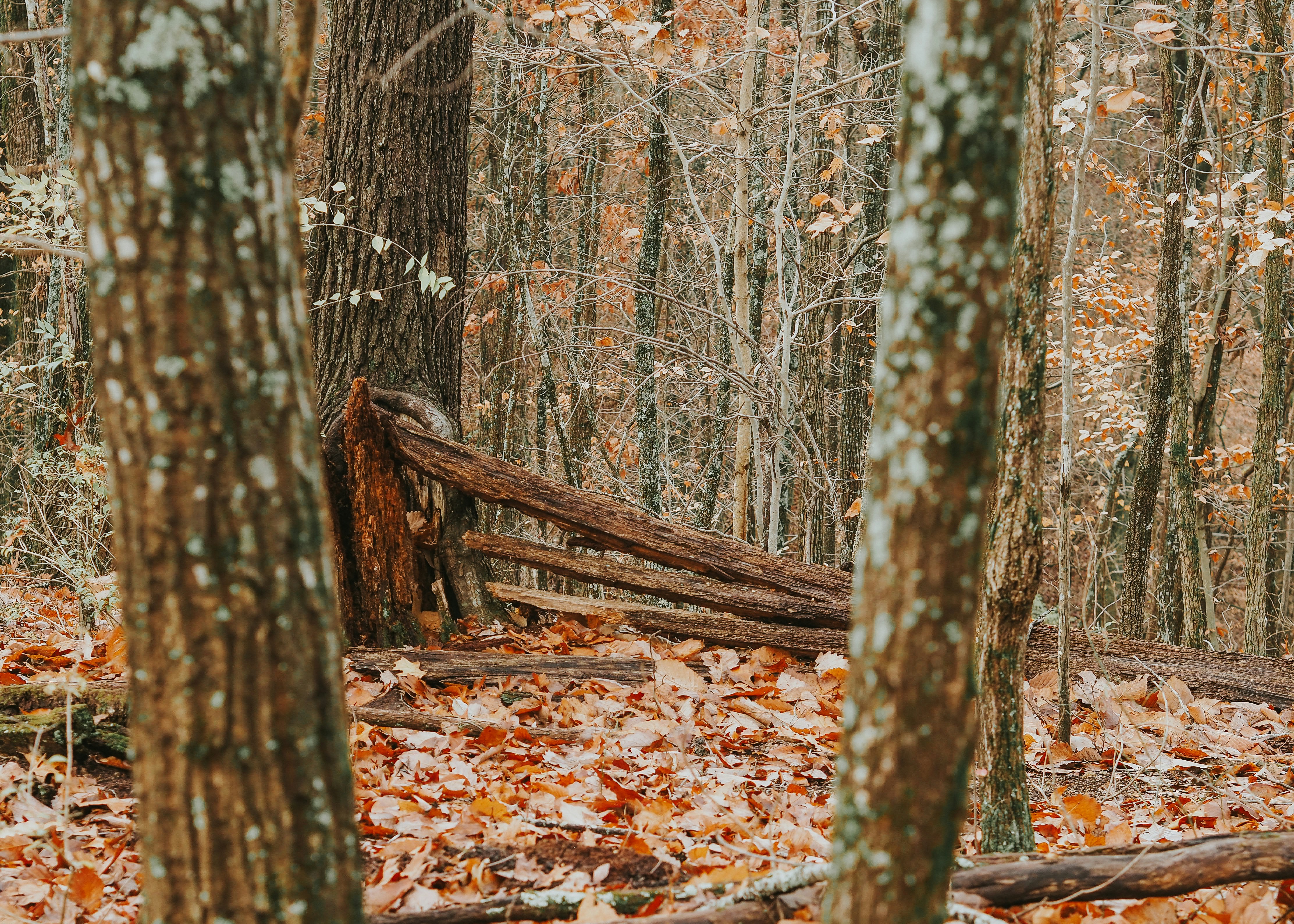 Photo by fieldworkframes