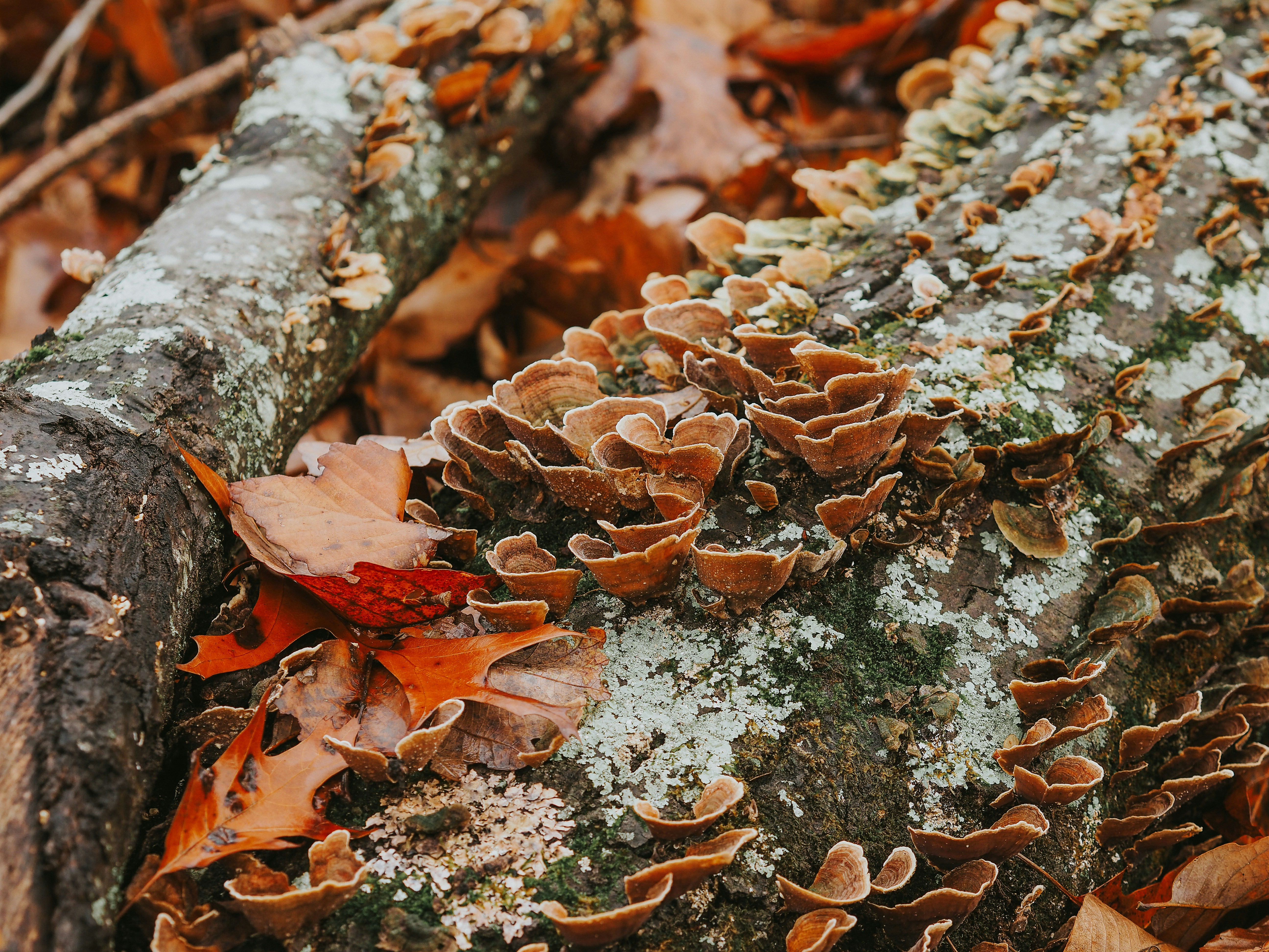 Photo by fieldworkframes