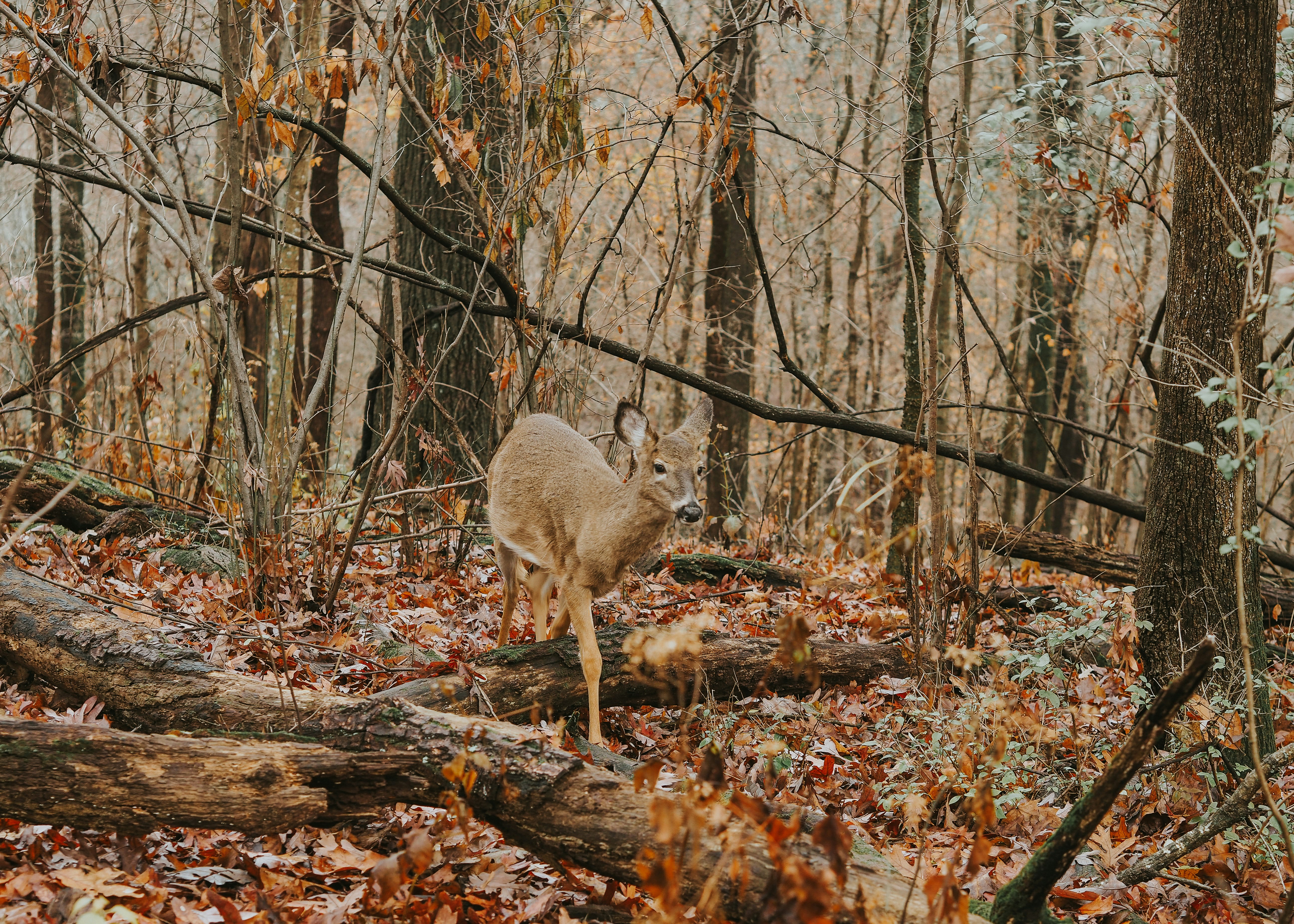 Photo by fieldworkframes