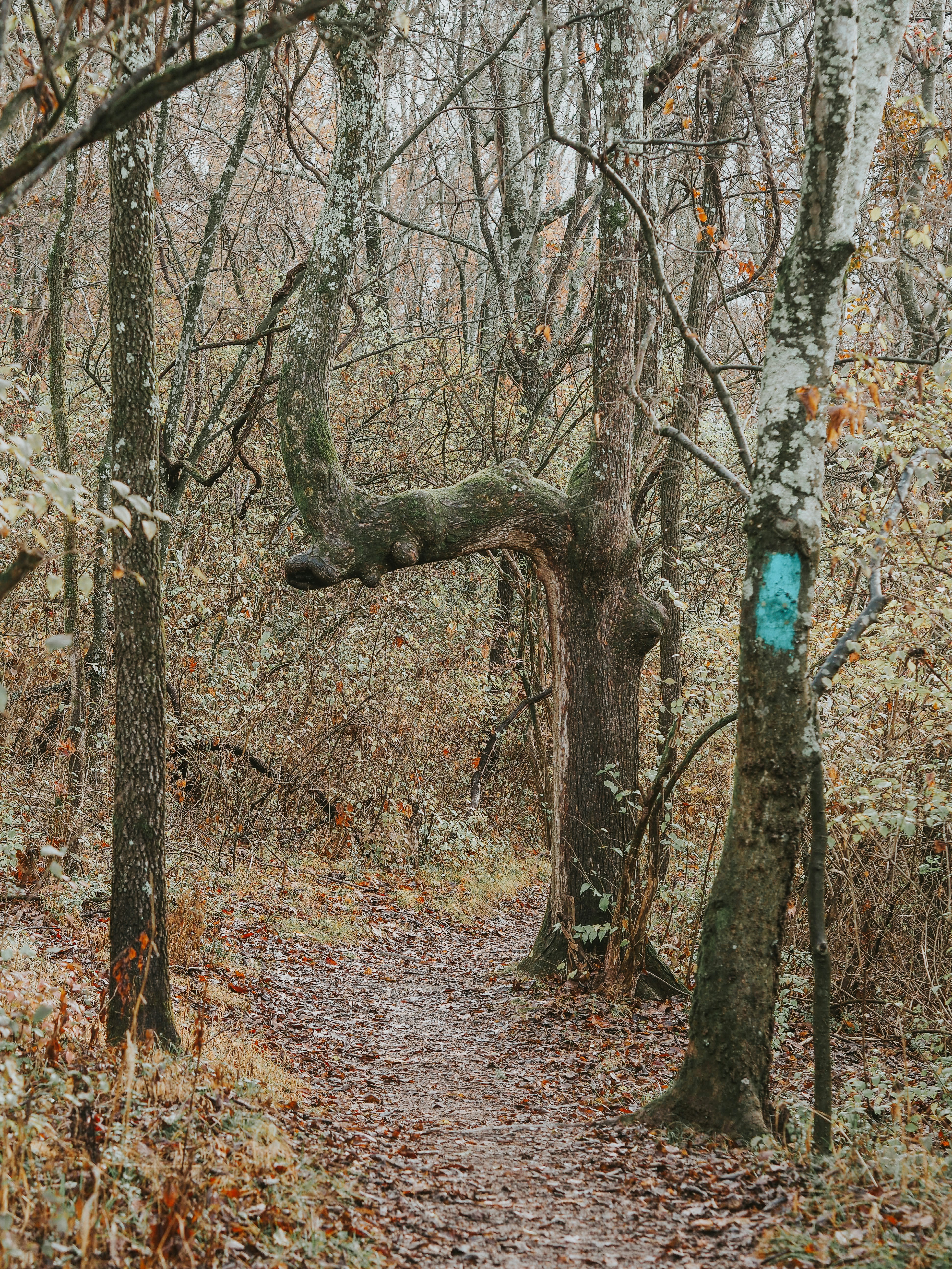 Photo by fieldworkframes