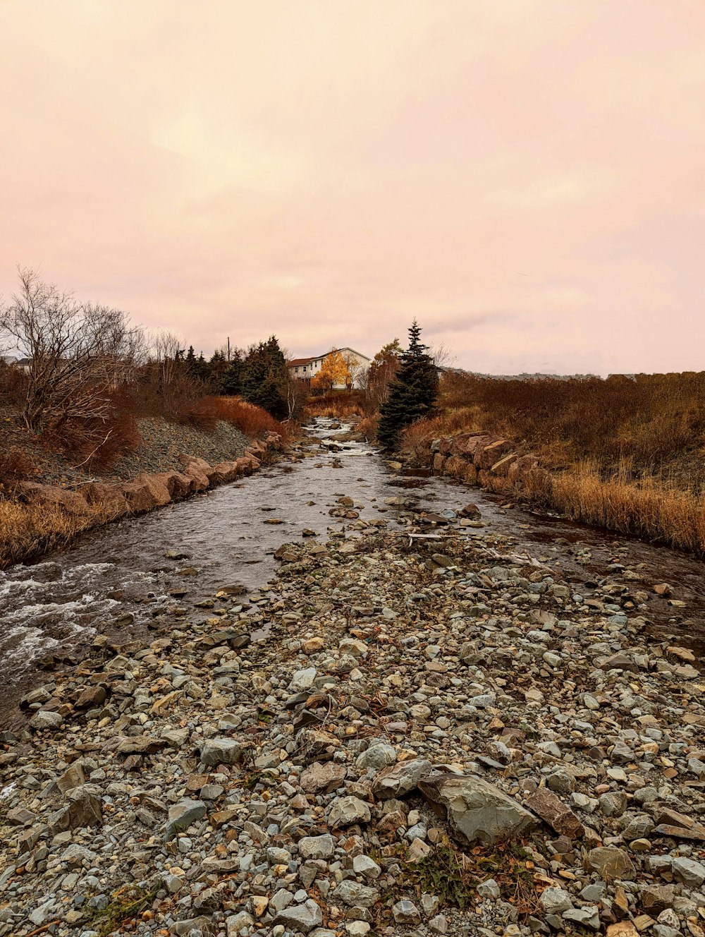 a river running through a dry grass covered field