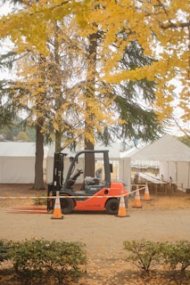 A forklift is parked on a dirt path surrounded by orange traffic cones. In the background, there are several white tents and tall trees with vibrant yellow foliage, indicative of autumn. The ground is covered with fallen leaves, adding to the autumnal atmosphere.
