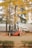 A forklift is parked on a dirt path surrounded by orange traffic cones. In the background, there are several white tents and tall trees with vibrant yellow foliage, indicative of autumn. The ground is covered with fallen leaves, adding to the autumnal atmosphere.