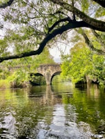 Old stone bridge crossing a gentle river surrounded by native vegetation.