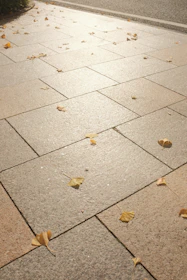 A freshly pressure-washed driveway with vibrant pavers gleaming under soft sunlight.