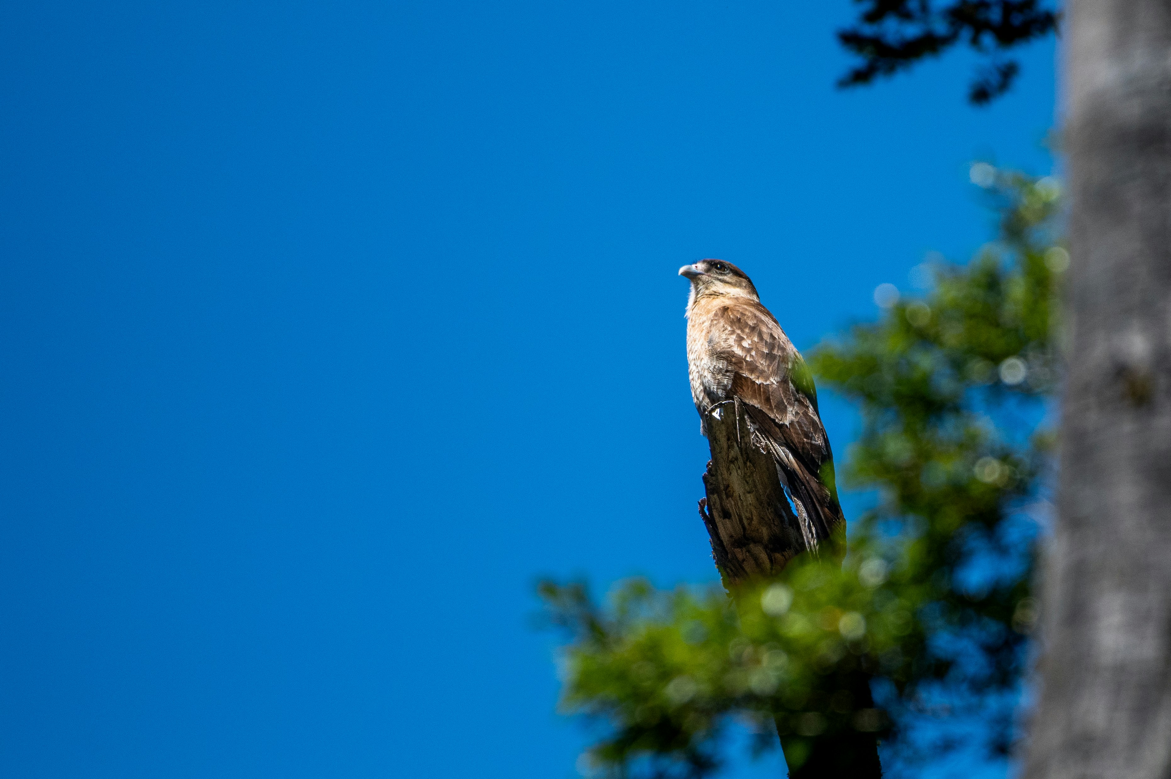 Photo by natachairken