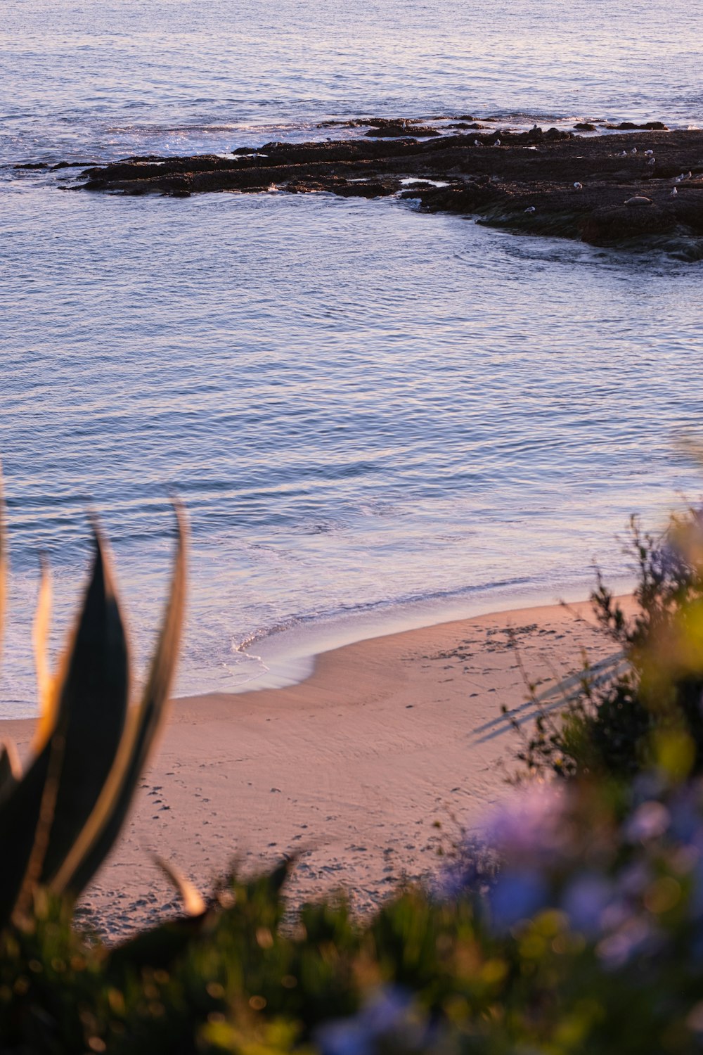 a person riding a surf board on a beach