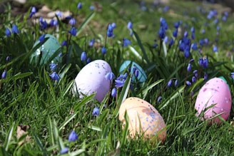 Colorful Easter eggs are nestled among vibrant green grass and surrounded by small, delicate blue flowers under bright sunlight.