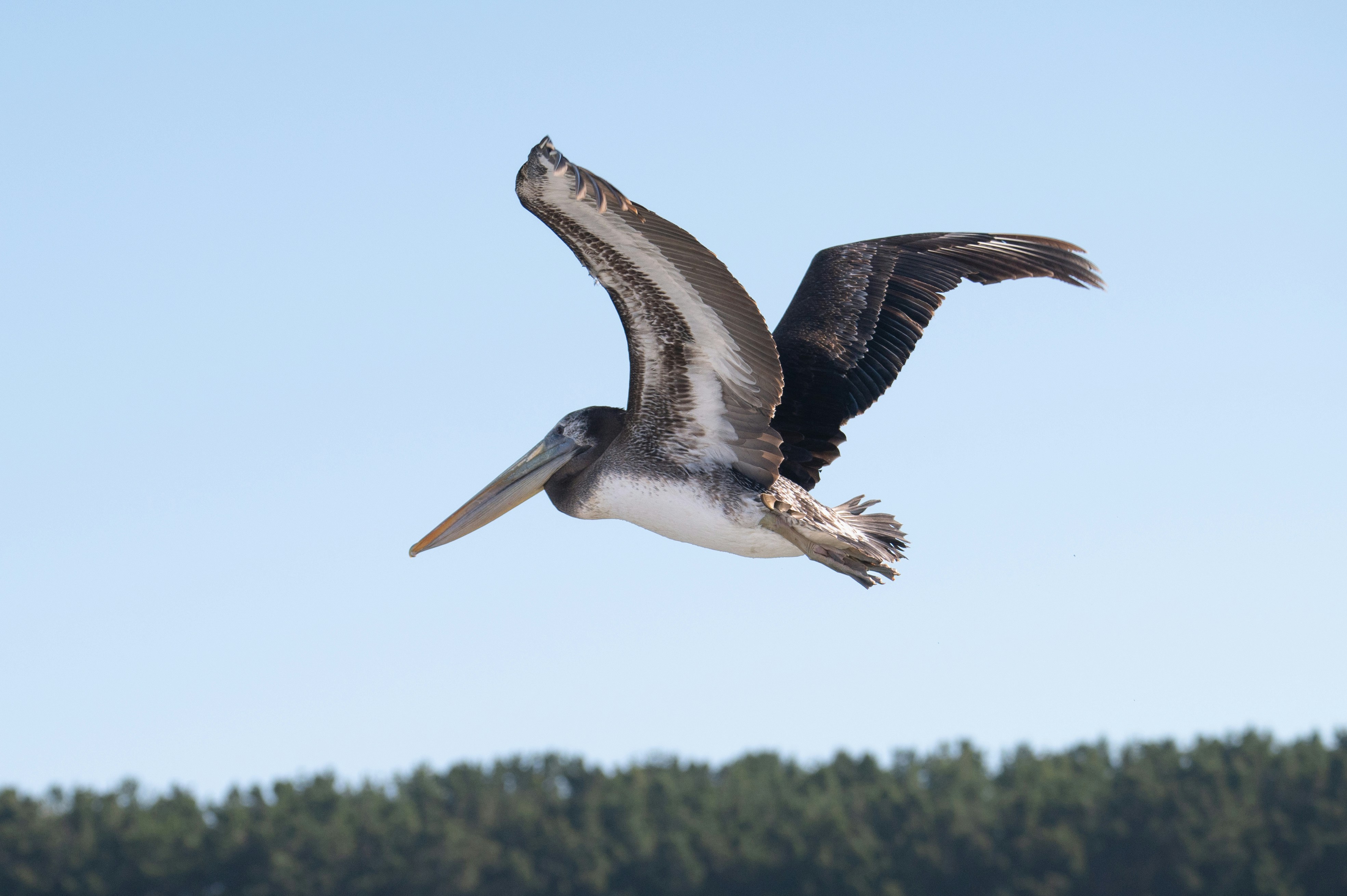 Photo by natachairken