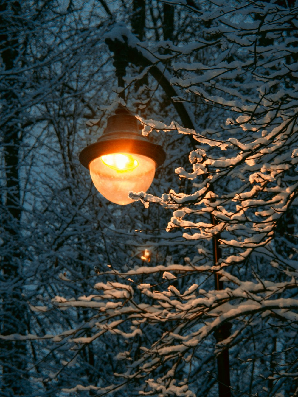 a street light in the middle of a snowy forest