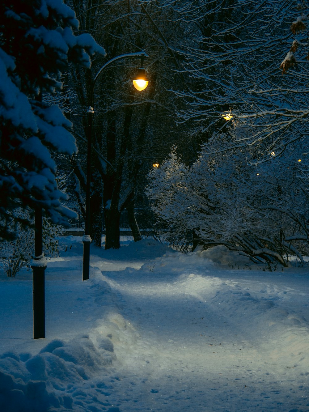 a snowy path with a street light in the distance